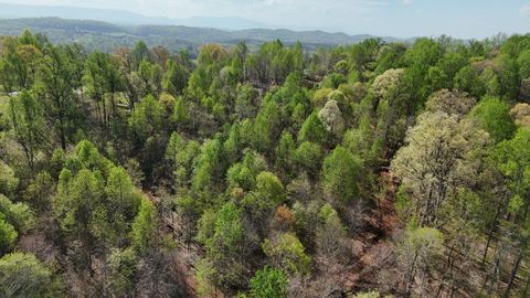 Tiny photo for 000 County Road 675-263-265, Athens, TN 37303 (MLS # 1510971)