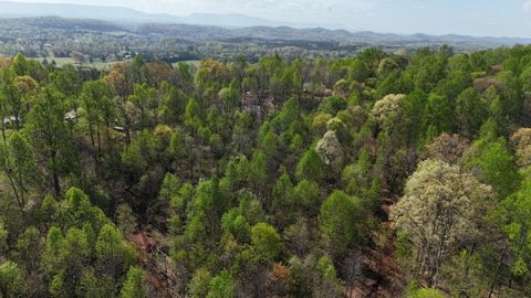 Tiny photo for 000 County Road 675-263-265, Athens, TN 37303 (MLS # 1510971)