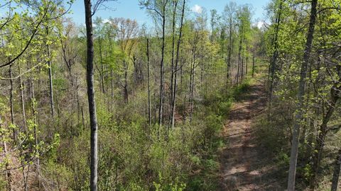 Photo of 000 County Road 675-263-265, Athens, TN 37303 (MLS # 1510971)