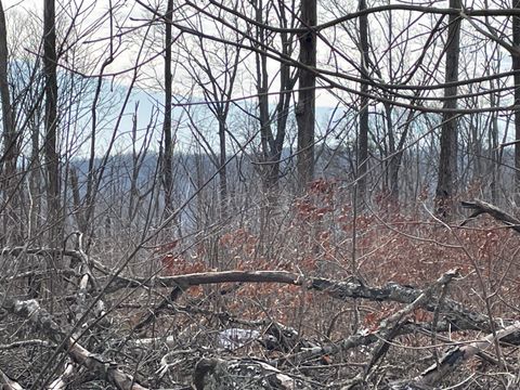 Vacant Land For Sale - 00 Blue Berry Road<br/> Pikeville, TN 37367