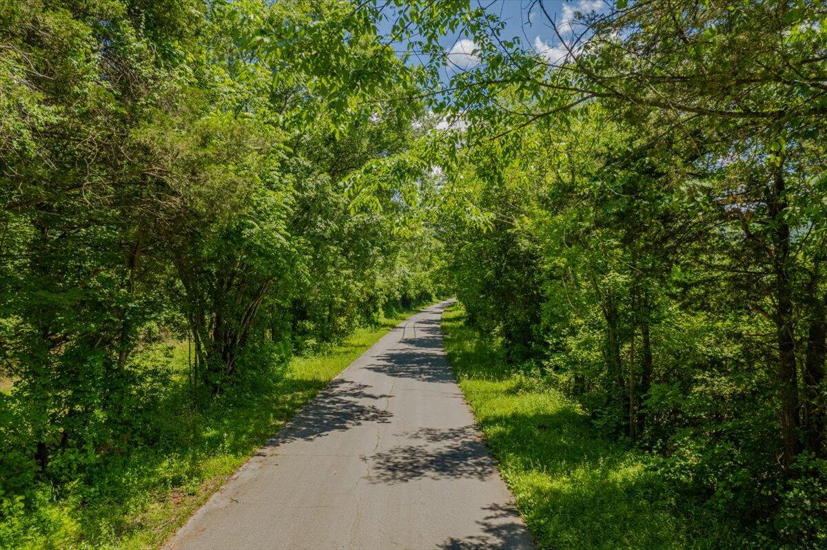 Martin Springs Road, South Pittsburg, Tennessee image 8