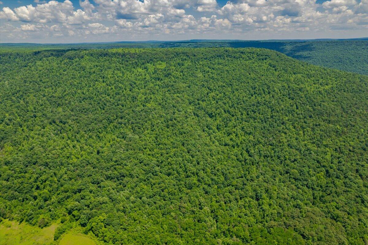 Martin Springs Road, South Pittsburg, Tennessee image 6