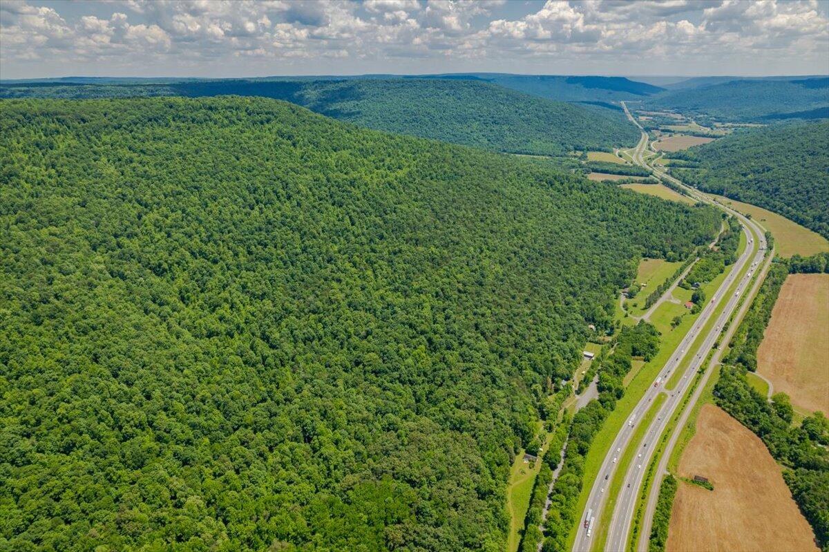 Martin Springs Road, South Pittsburg, Tennessee image 5