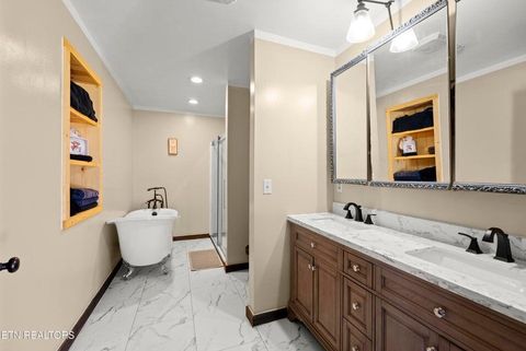 Tiny photo for 10389 Summer City Road, Spring City, TN 37381 (MLS # 1530297)