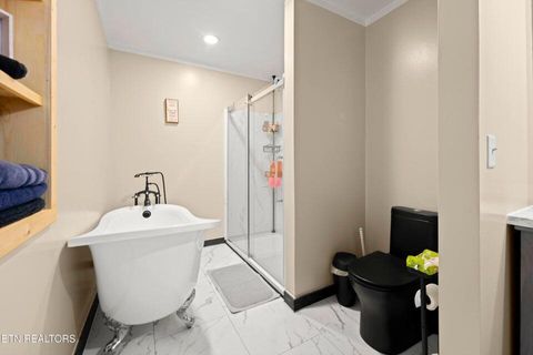 Tiny photo for 10389 Summer City Road, Spring City, TN 37381 (MLS # 1530297)