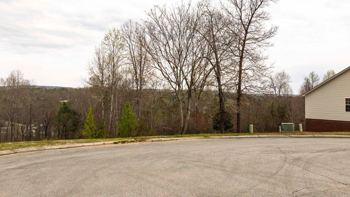 460 Arbor Pointe Trail, Dayton, Tennessee image 4