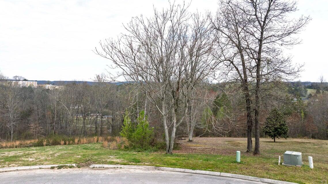 460 Arbor Pointe Trail, Dayton, Tennessee image 10