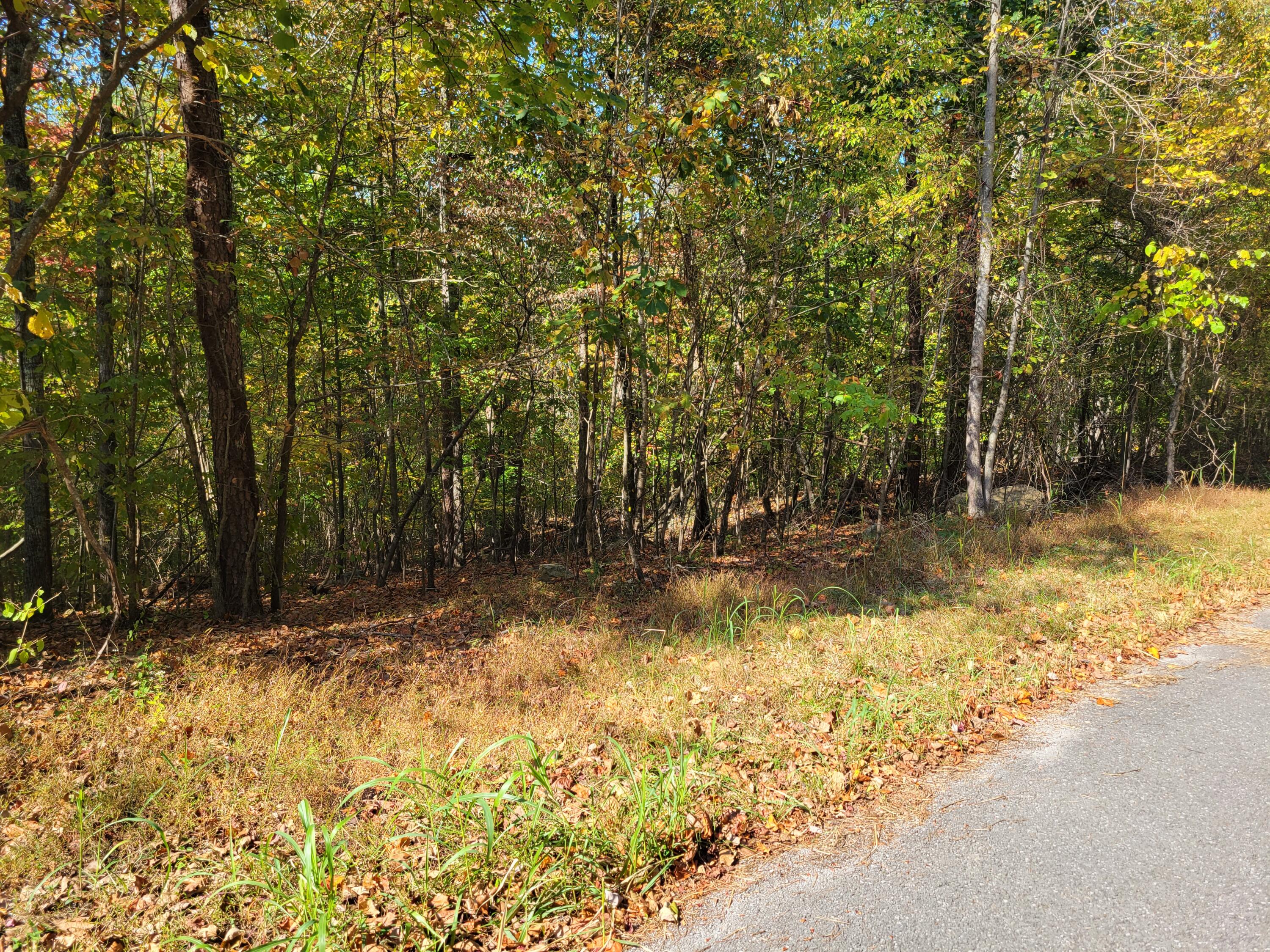 5 Raulstontown Road #5, South Pittsburg, Tennessee image 2