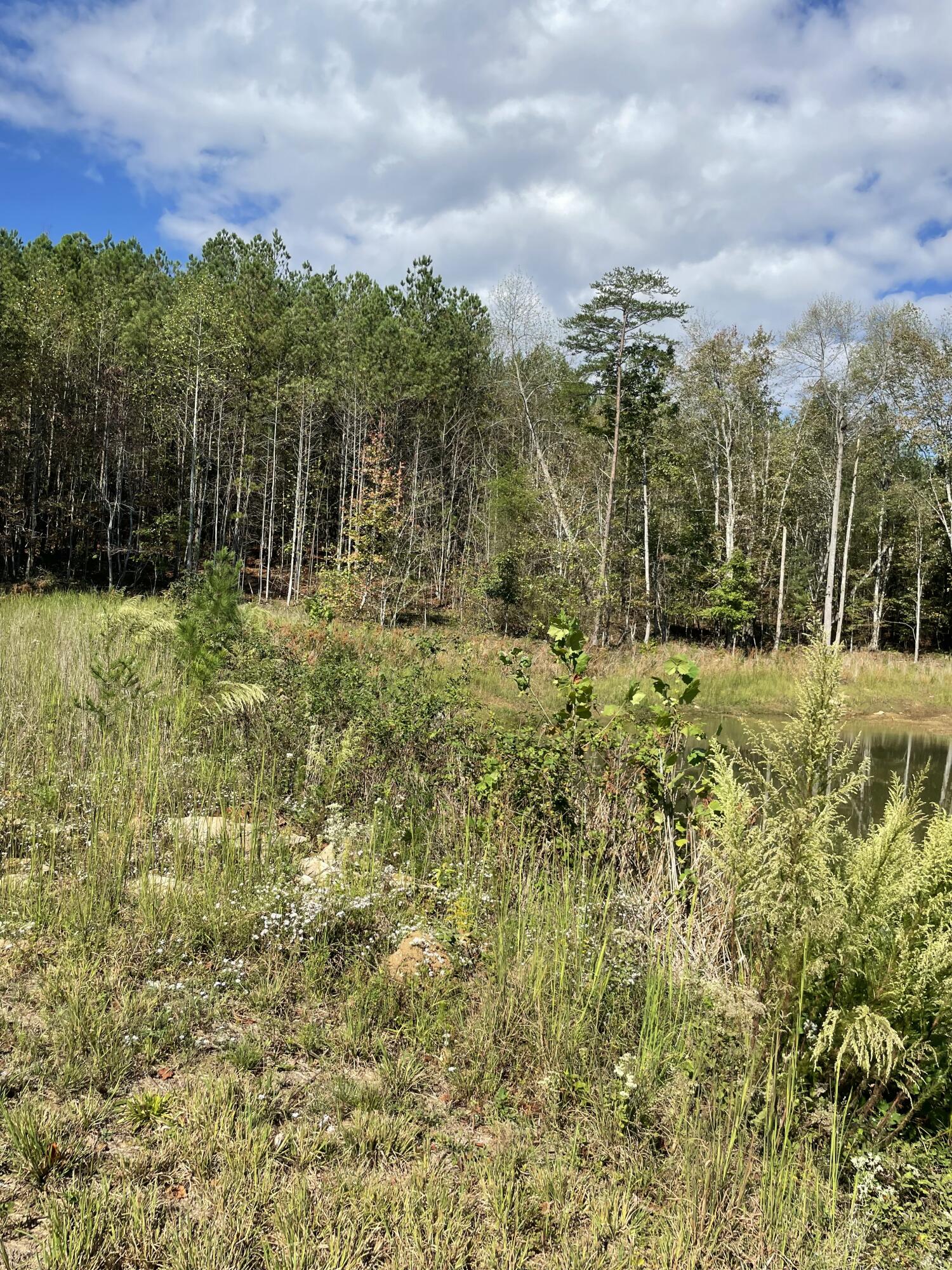 3685 Crockett Point #JF141, Jasper, Tennessee image 4