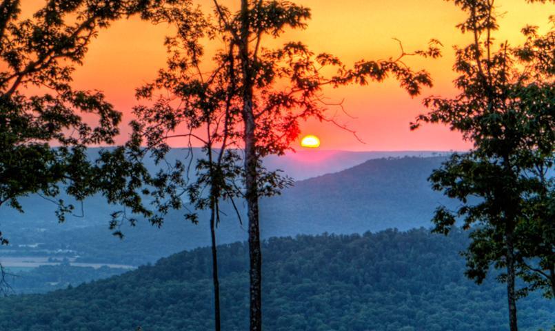 3685 Crockett Point #JF141, Jasper, Tennessee image 18