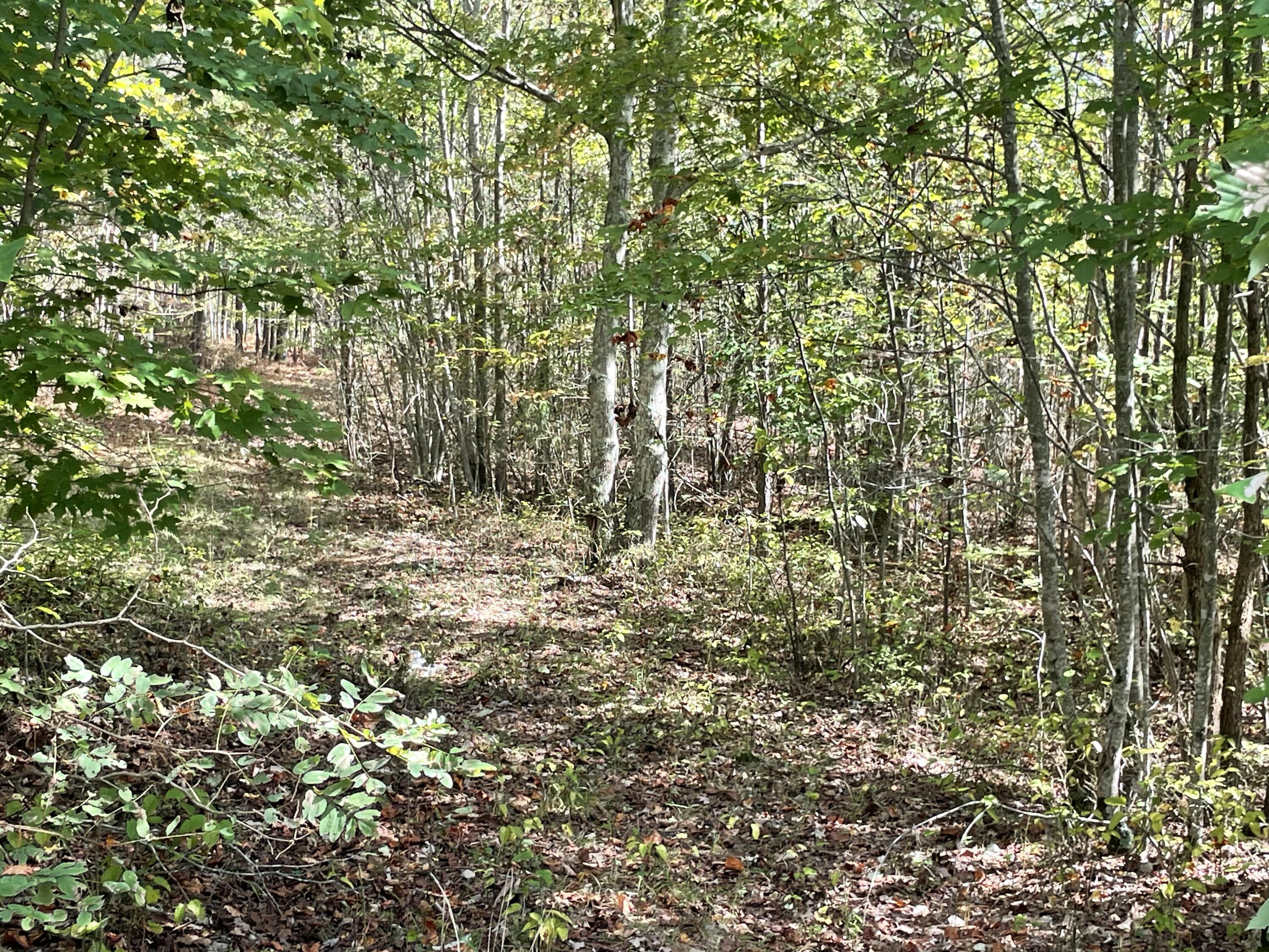 3685 Crockett Point #JF141, Jasper, Tennessee image 2