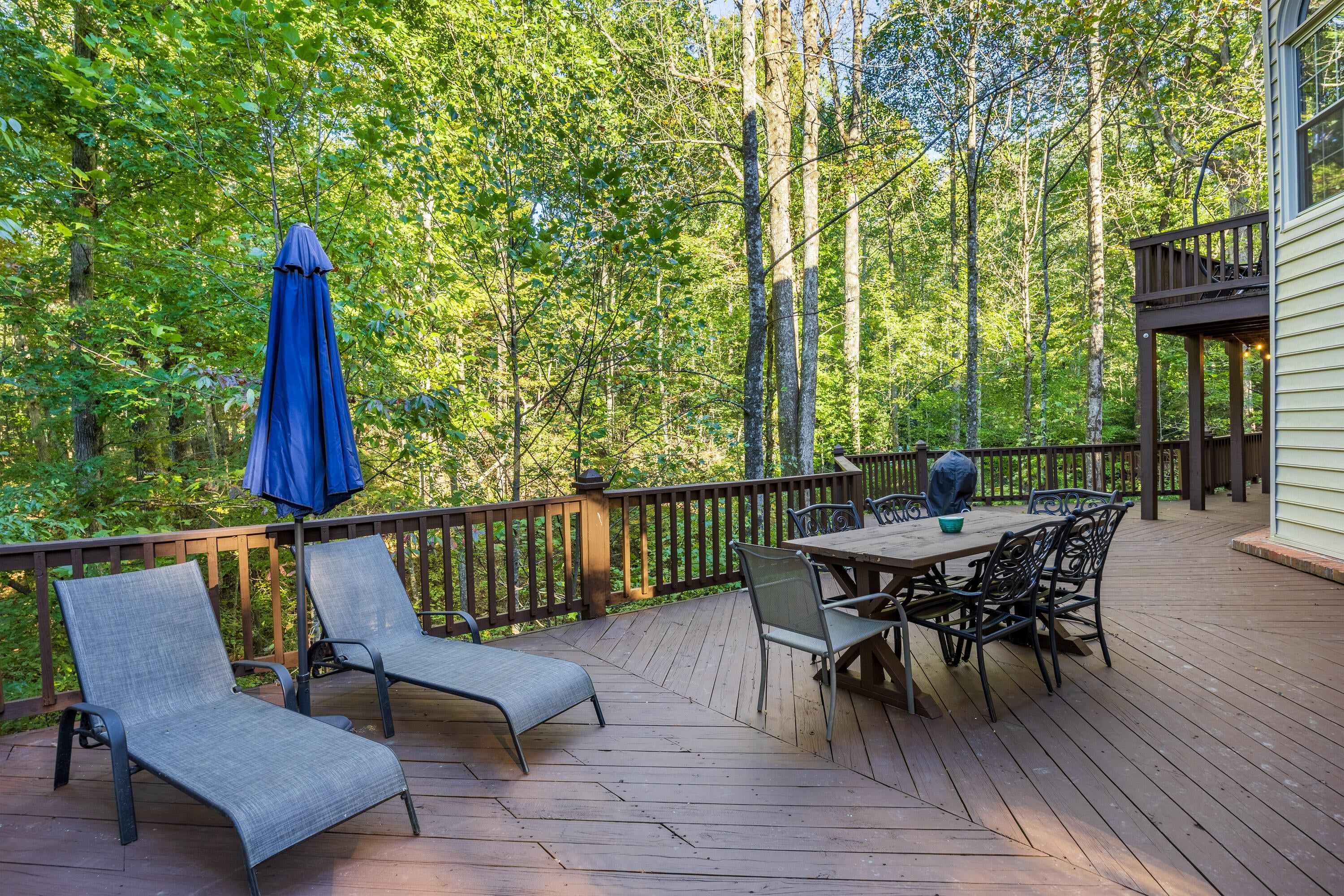 3122 Bee Tree Lane