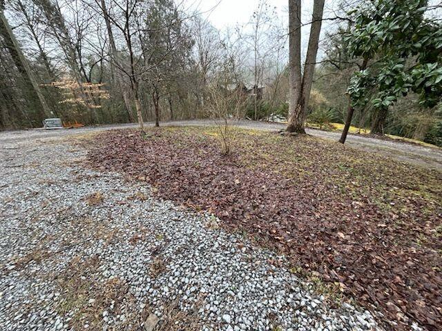 412 Laurel Avenue, Gatlinburg, Tennessee image 18