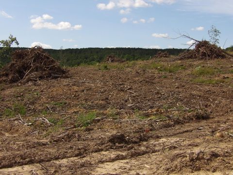 Vacant Land For Sale - LOT 13 Summer City Road<br/> Evensville, TN 37332