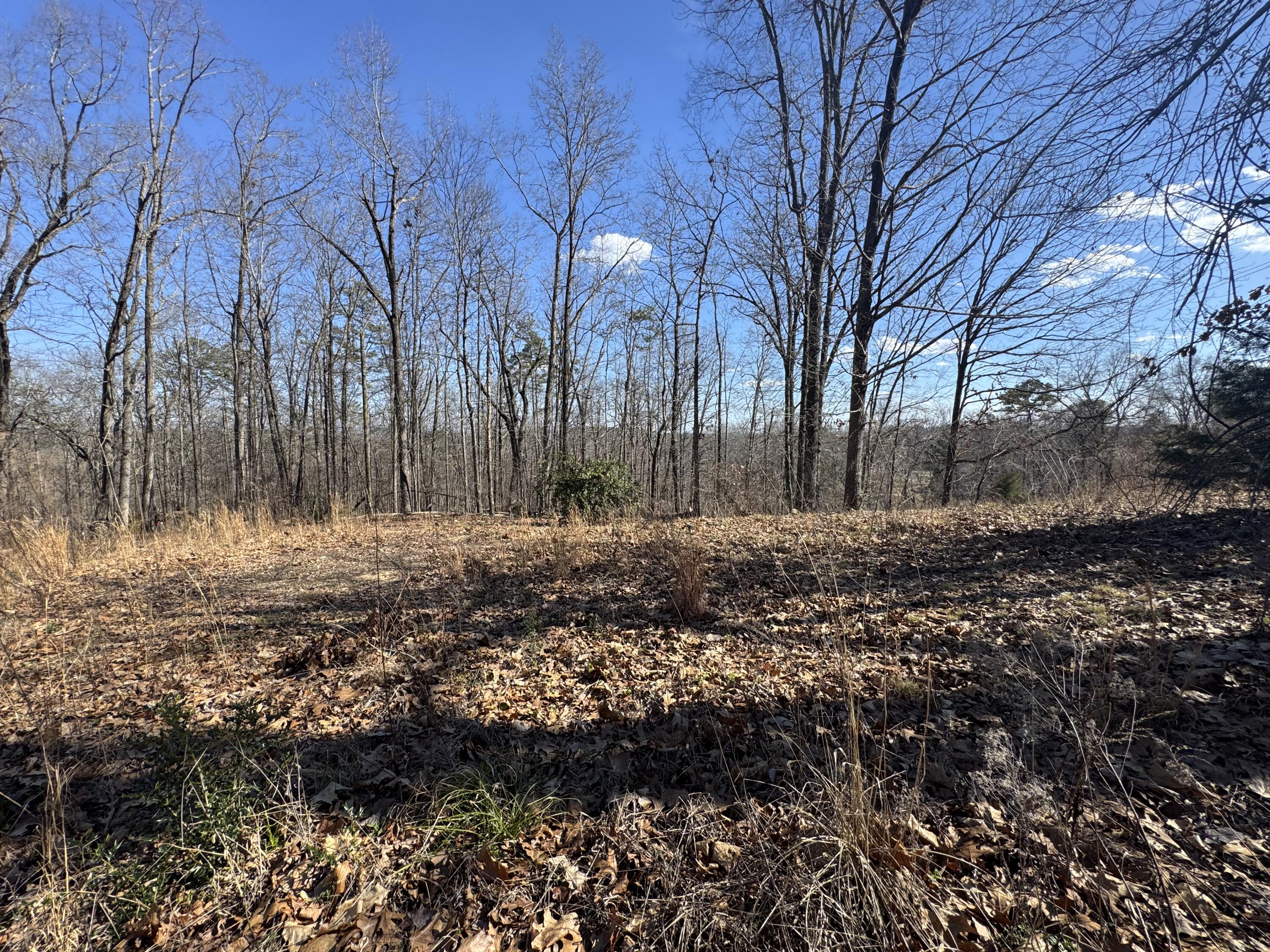 Tract 37 Village Drive, Cohutta, Georgia image 4
