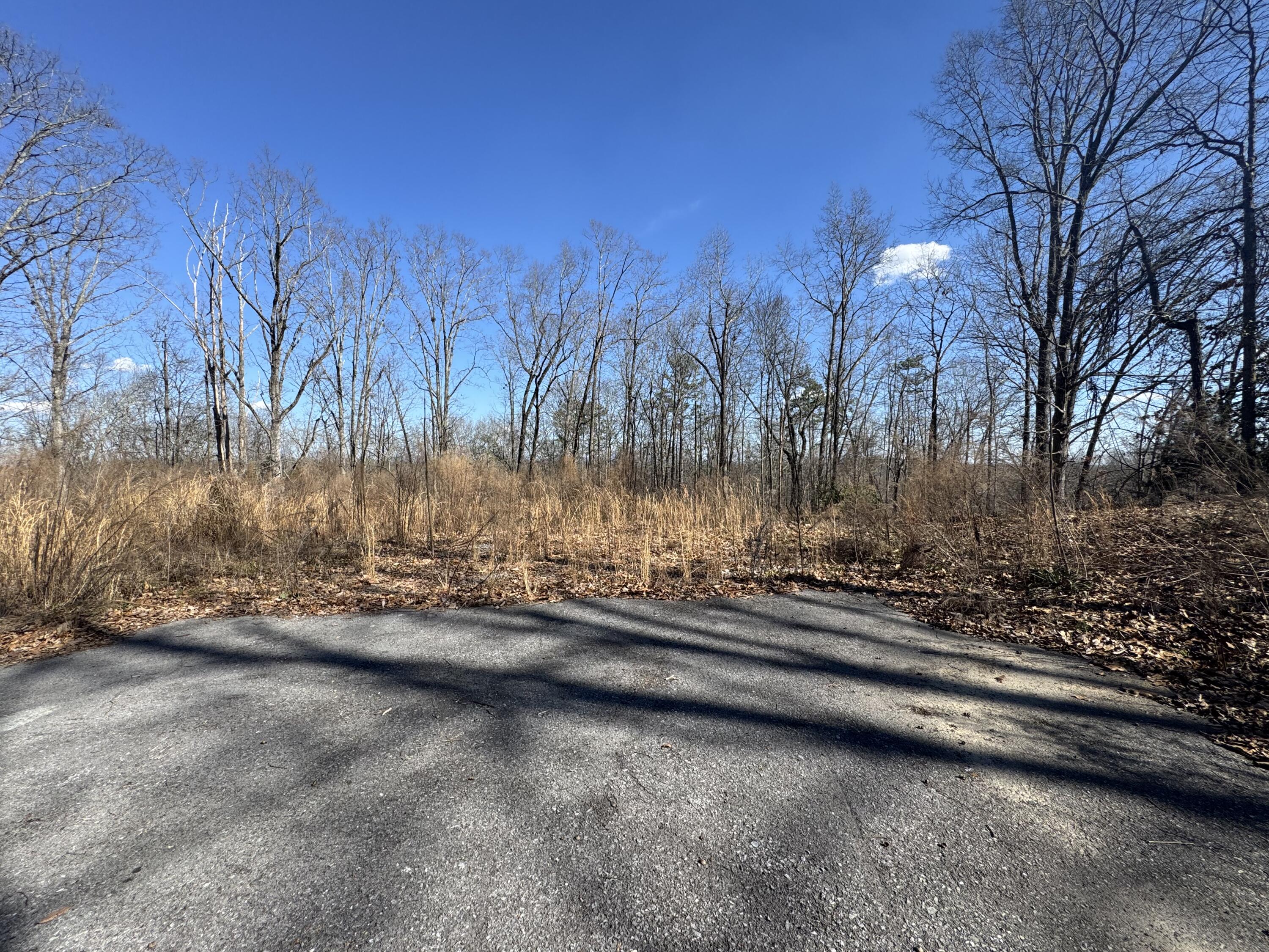 Tract 37 Village Drive, Cohutta, Georgia image 3