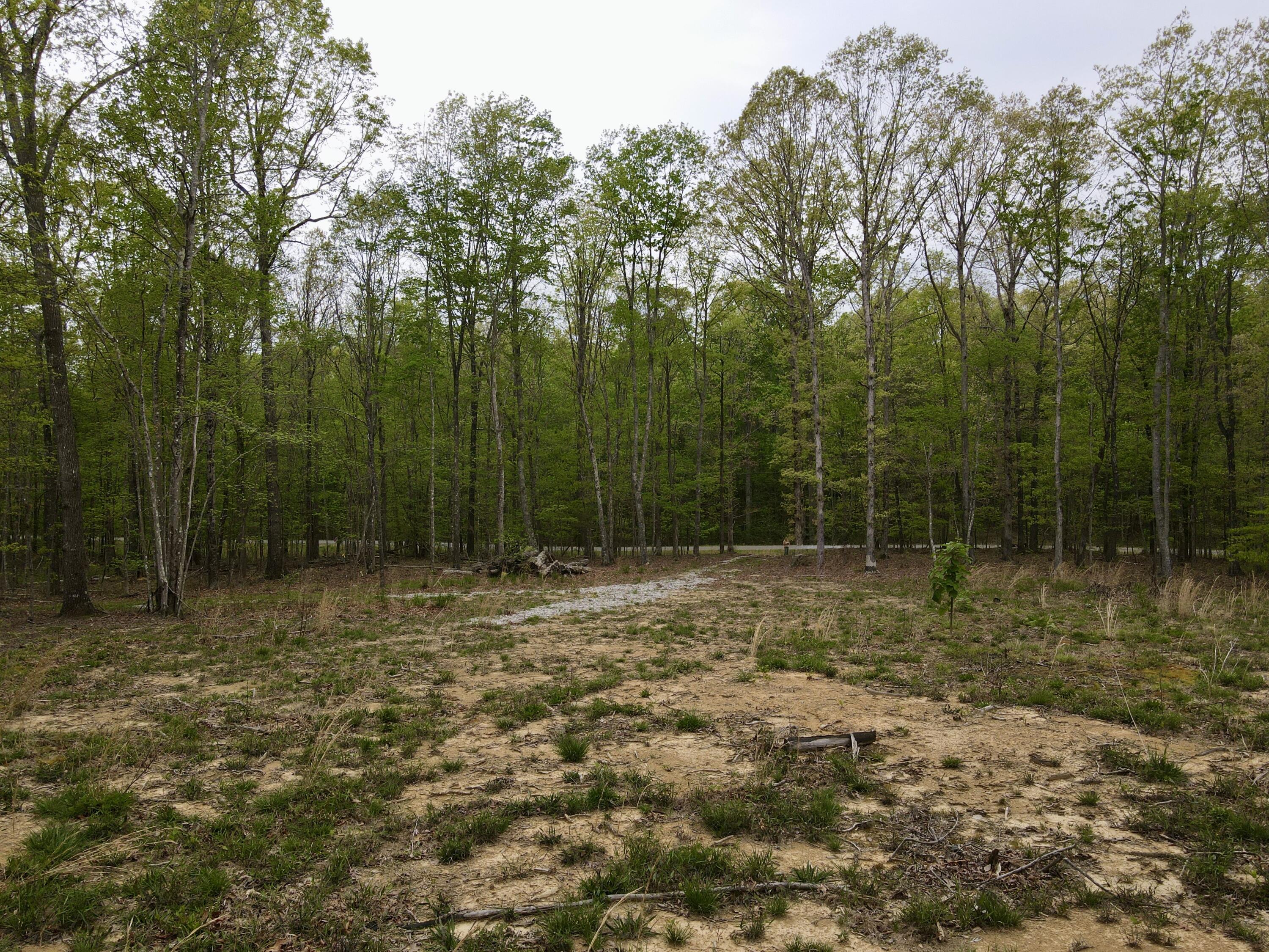 Deer Wood Drive #LOT 14, Sewanee, Tennessee image 18