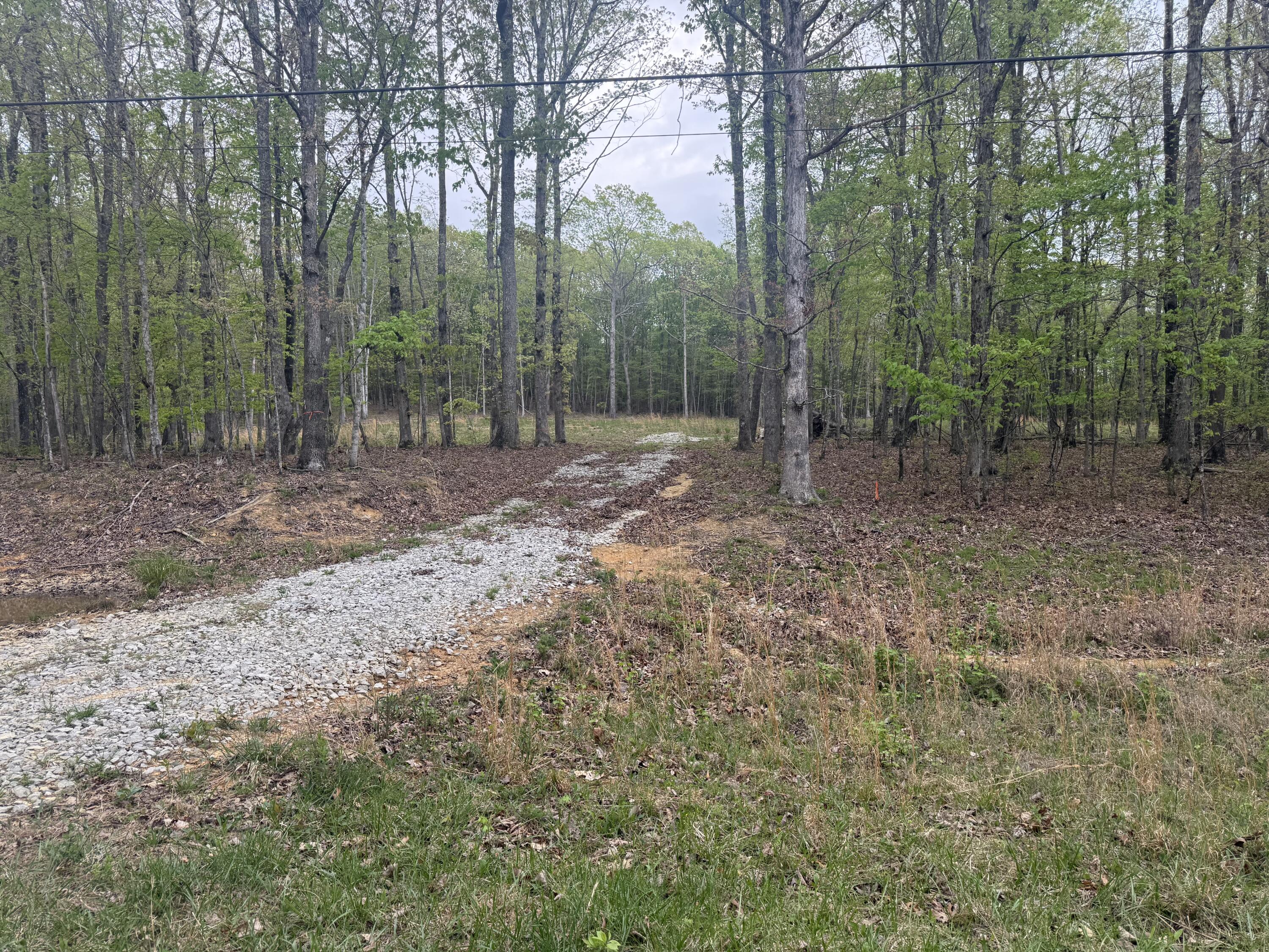 Deer Wood Drive #LOT 14, Sewanee, Tennessee image 5