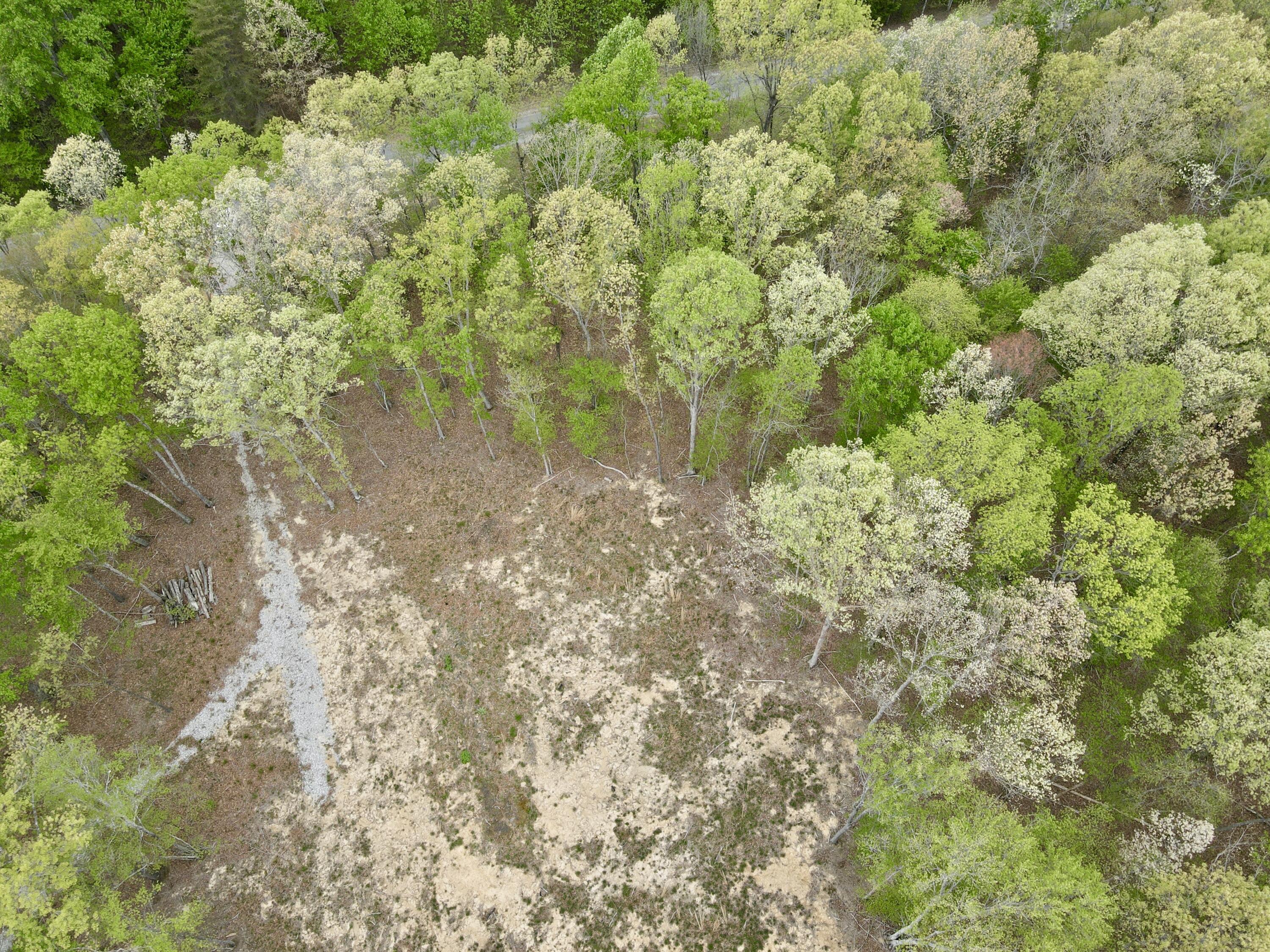Deer Wood Drive #LOT 14, Sewanee, Tennessee image 35