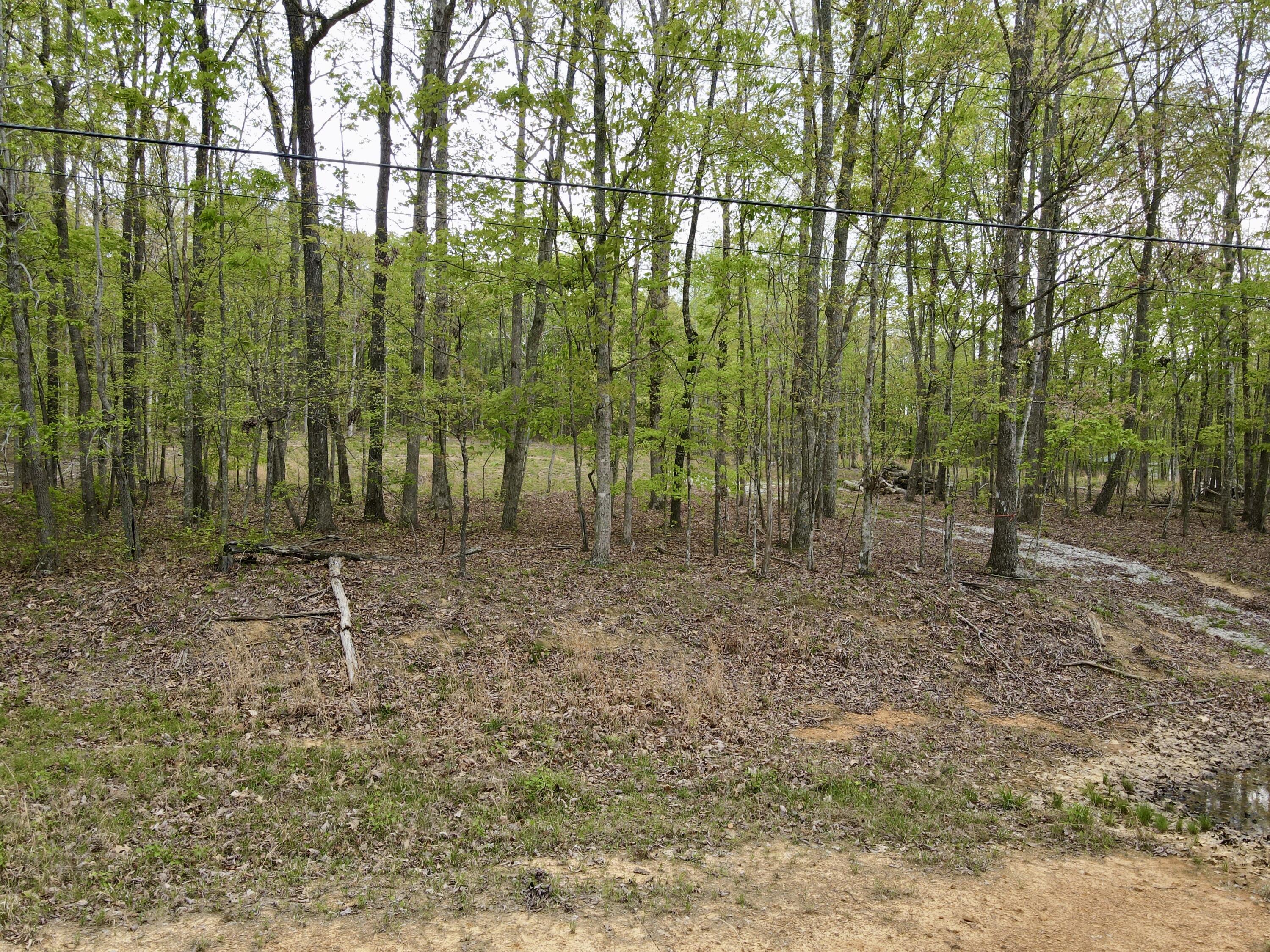 Deer Wood Drive #LOT 14, Sewanee, Tennessee image 50