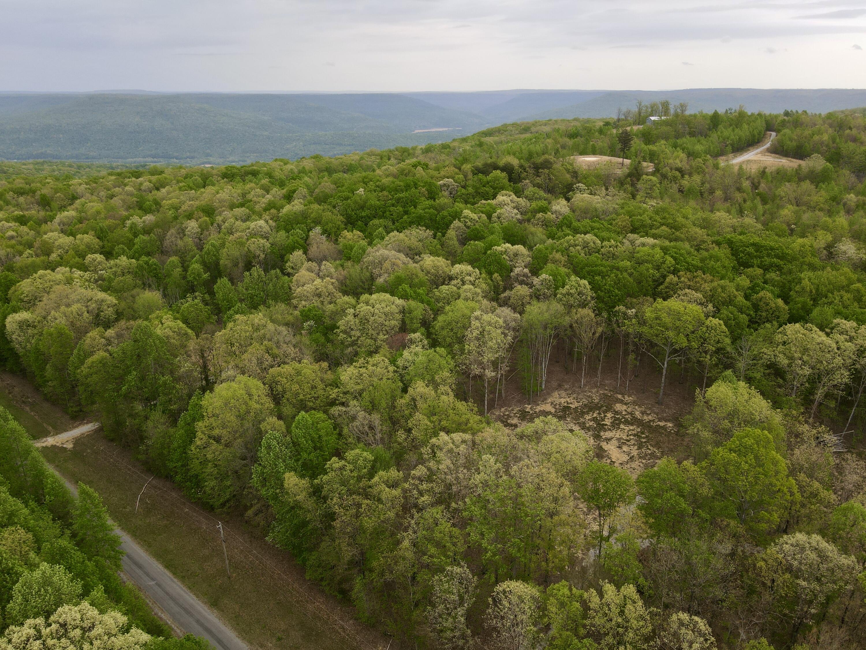 Deer Wood Drive #LOT 14, Sewanee, Tennessee image 1