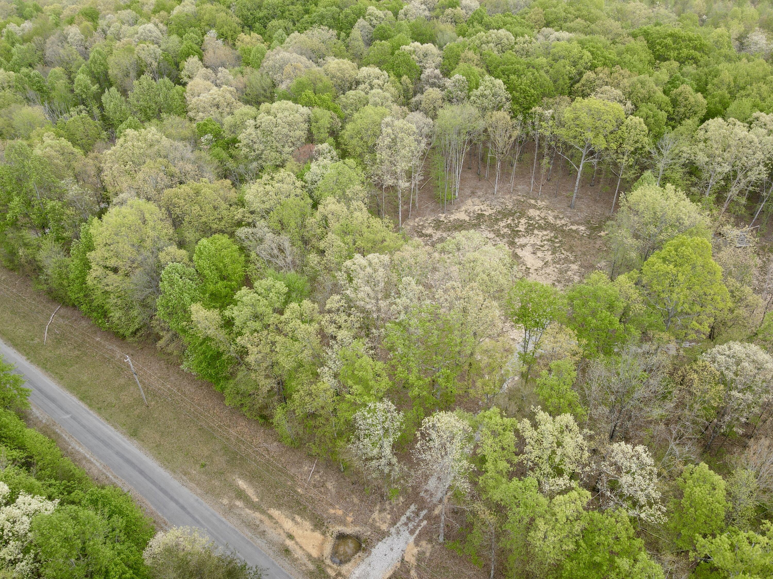 Deer Wood Drive #LOT 14, Sewanee, Tennessee image 41