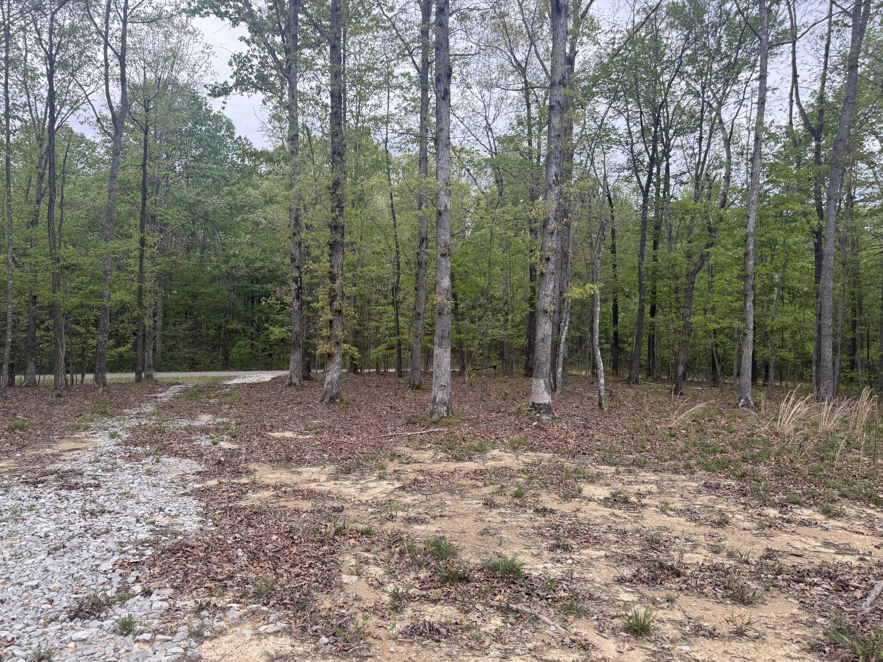 Deer Wood Drive #LOT 14, Sewanee, Tennessee image 7