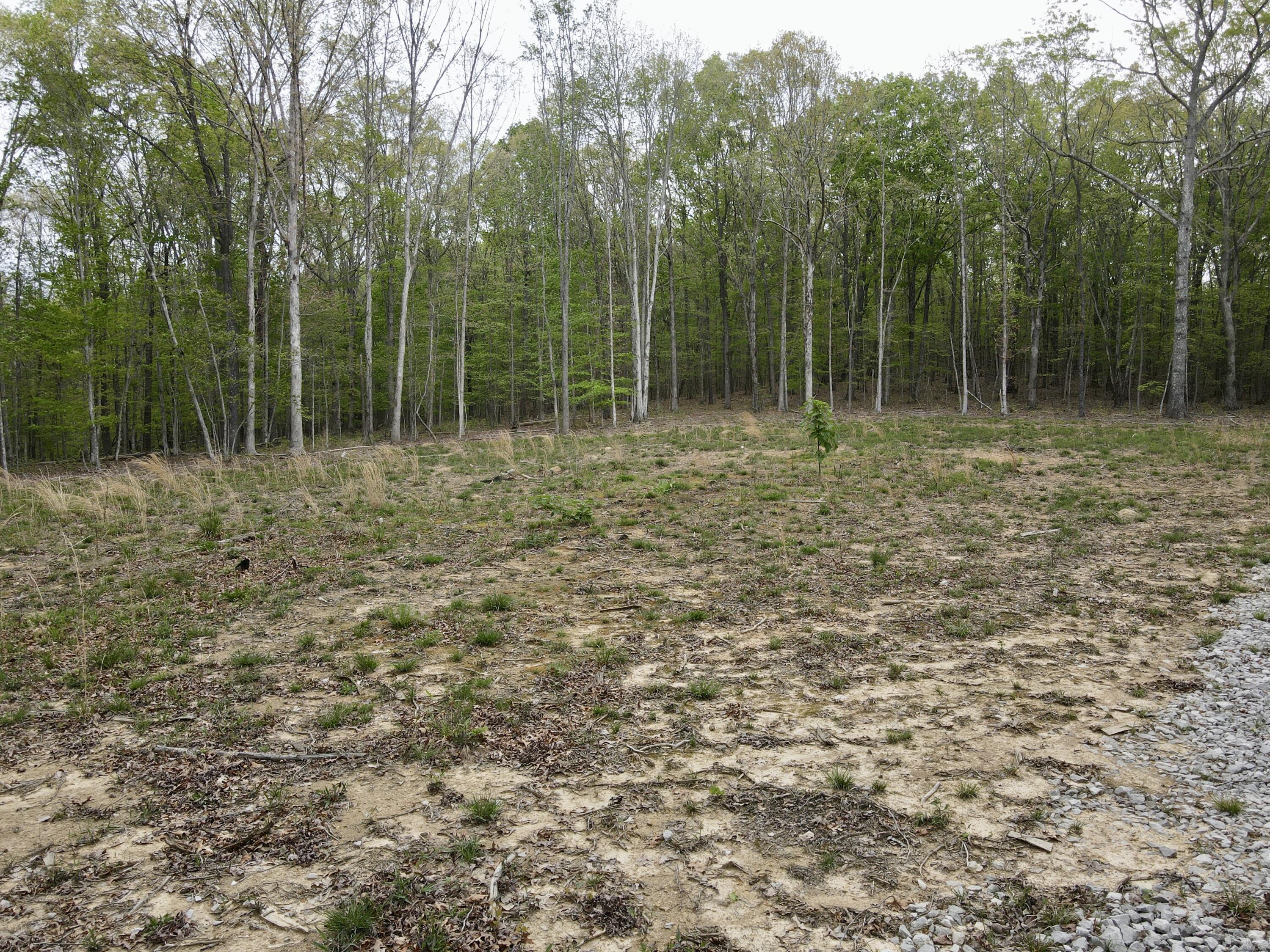 Deer Wood Drive #LOT 14, Sewanee, Tennessee image 27