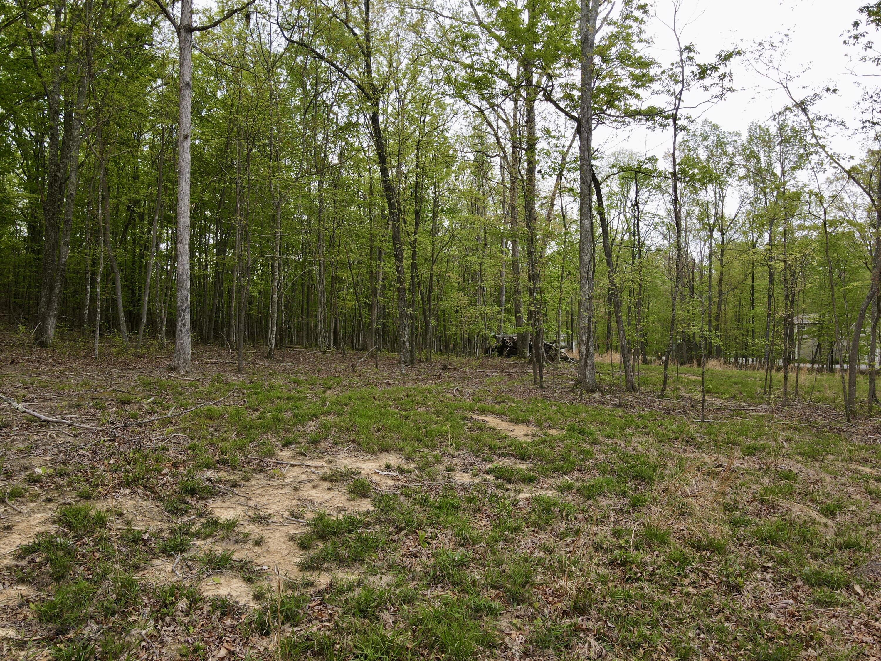 Deer Wood Drive #LOT 14, Sewanee, Tennessee image 19