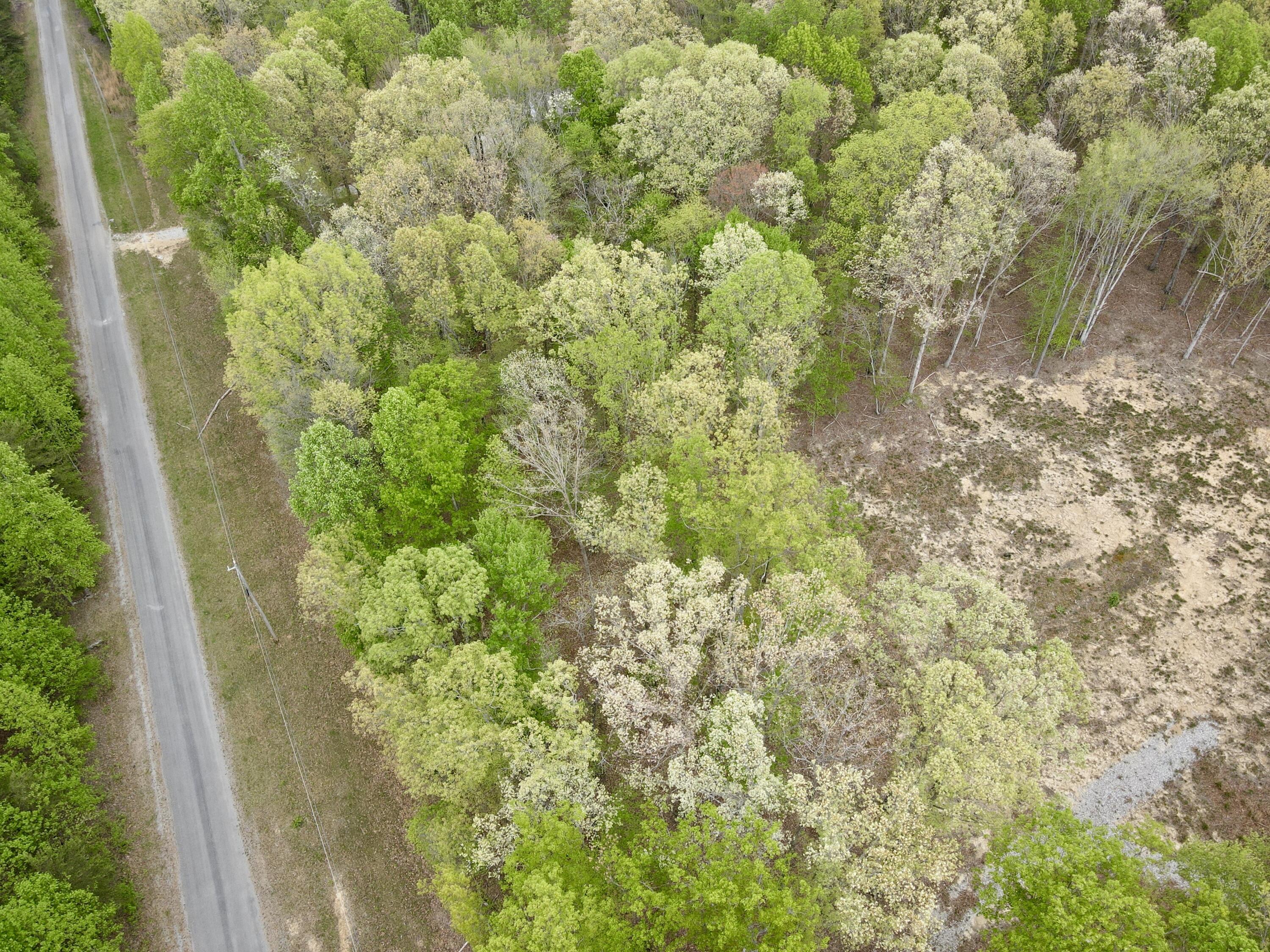 Deer Wood Drive #LOT 14, Sewanee, Tennessee image 42