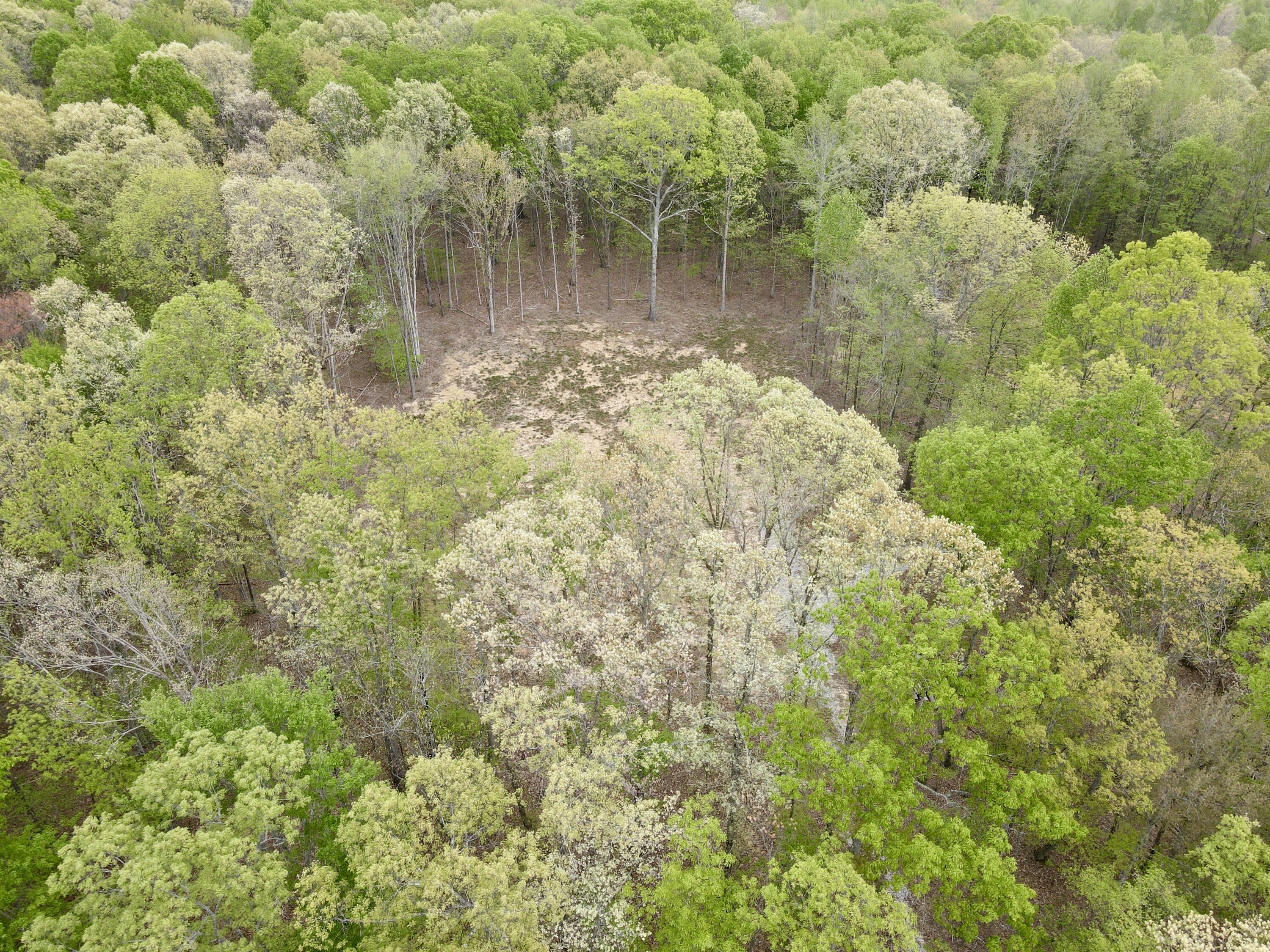 Deer Wood Drive #LOT 14, Sewanee, Tennessee image 47