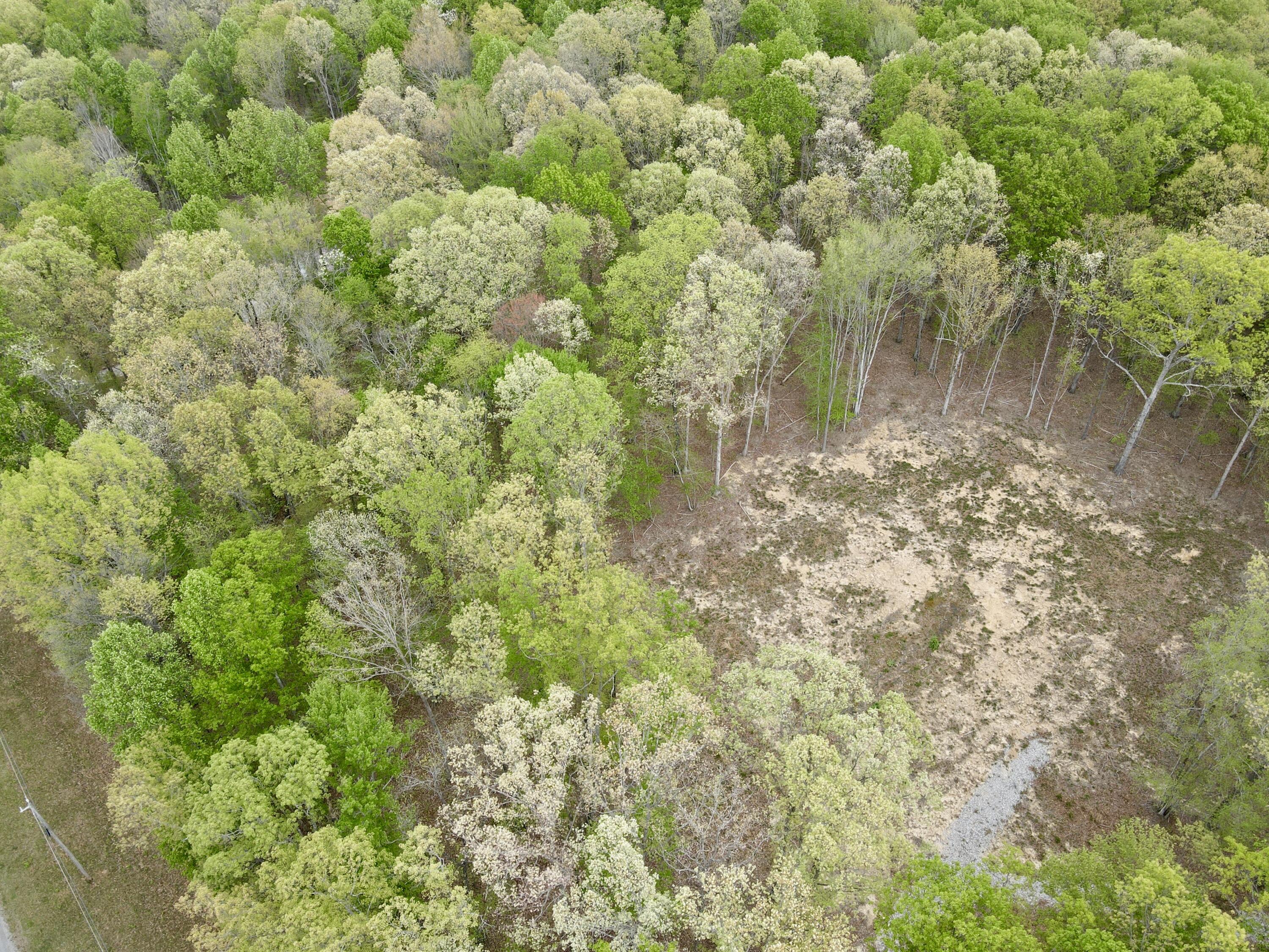 Deer Wood Drive #LOT 14, Sewanee, Tennessee image 43