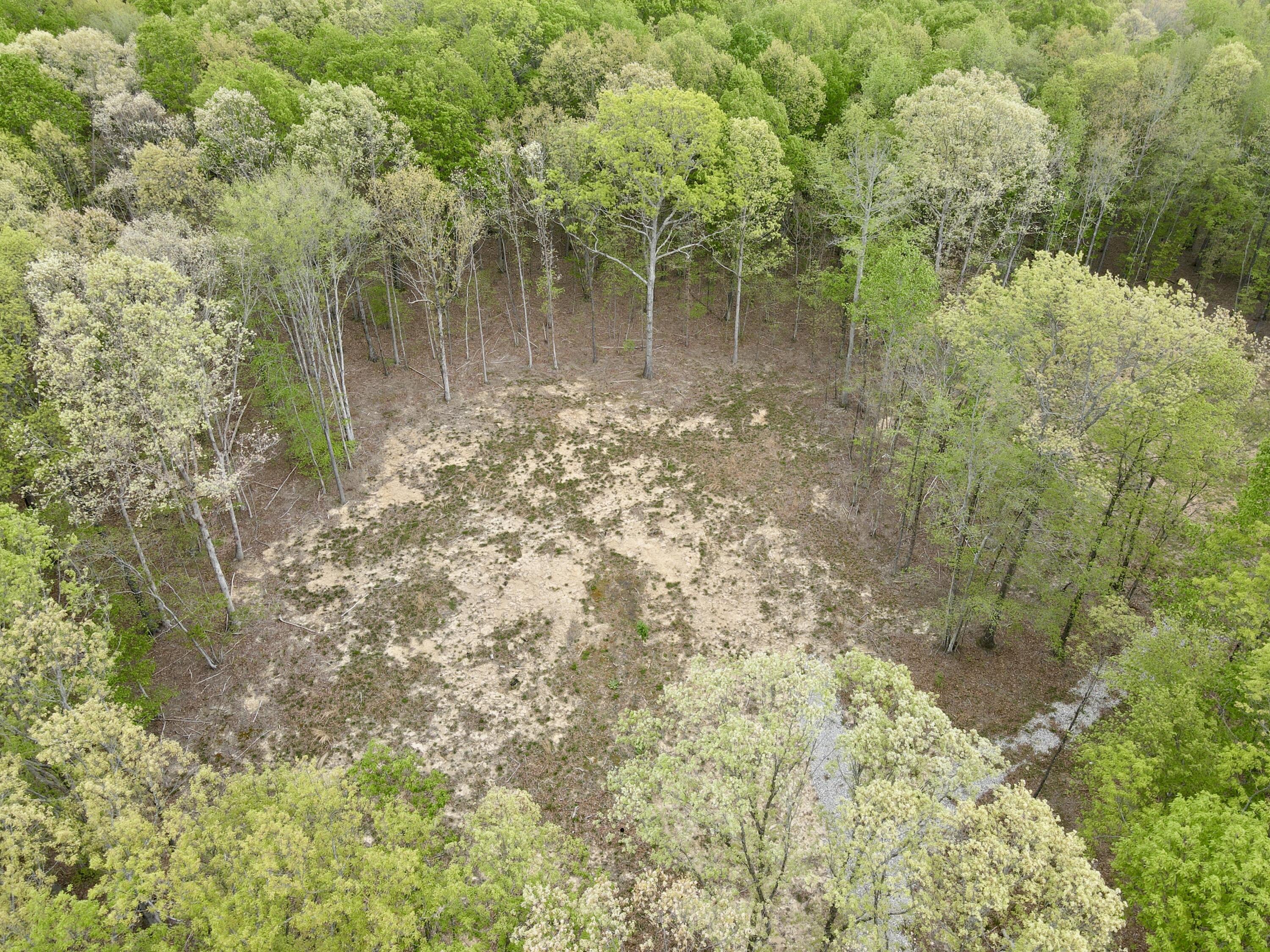 Deer Wood Drive #LOT 14, Sewanee, Tennessee image 46
