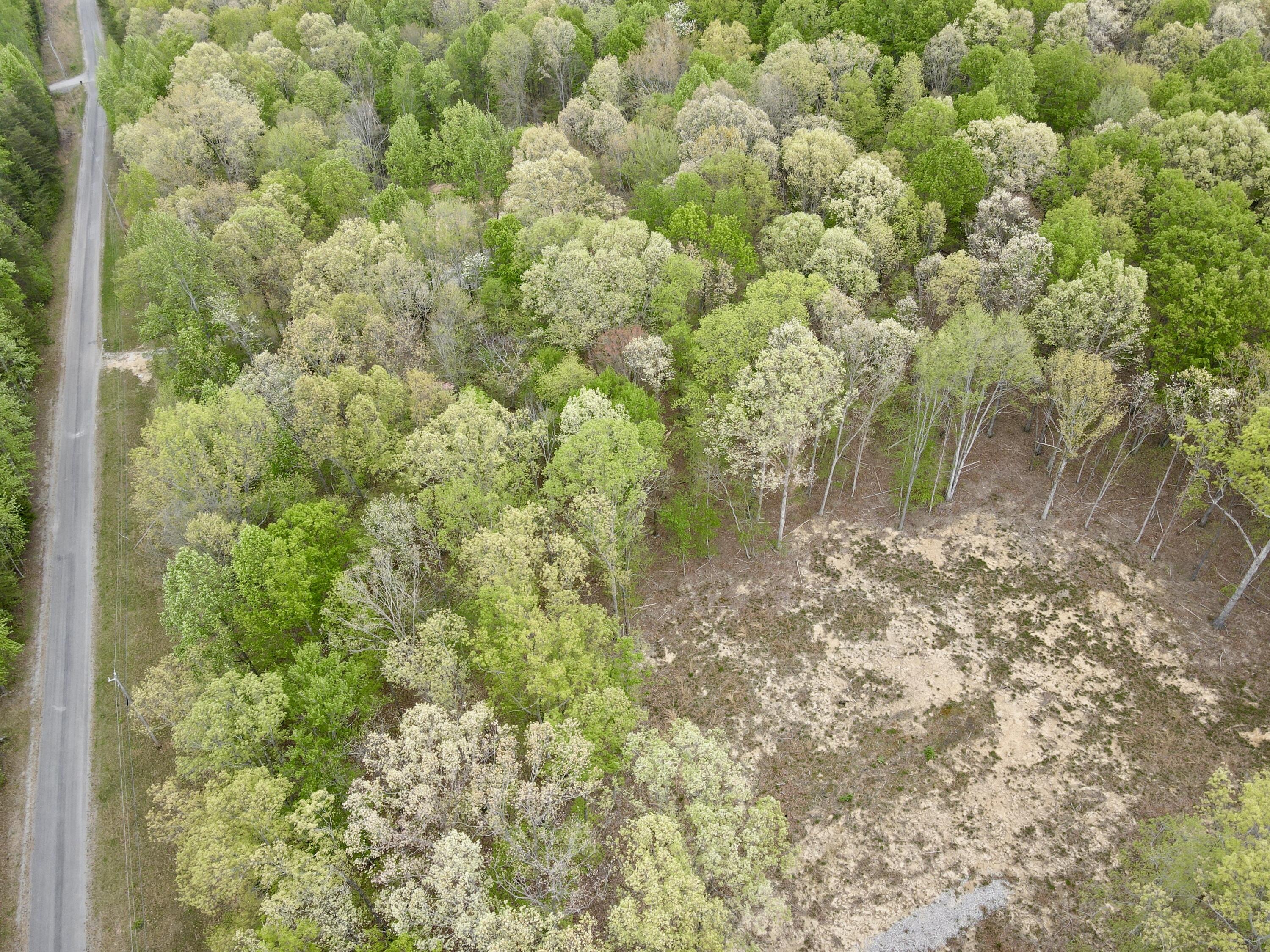 Deer Wood Drive #LOT 14, Sewanee, Tennessee image 38