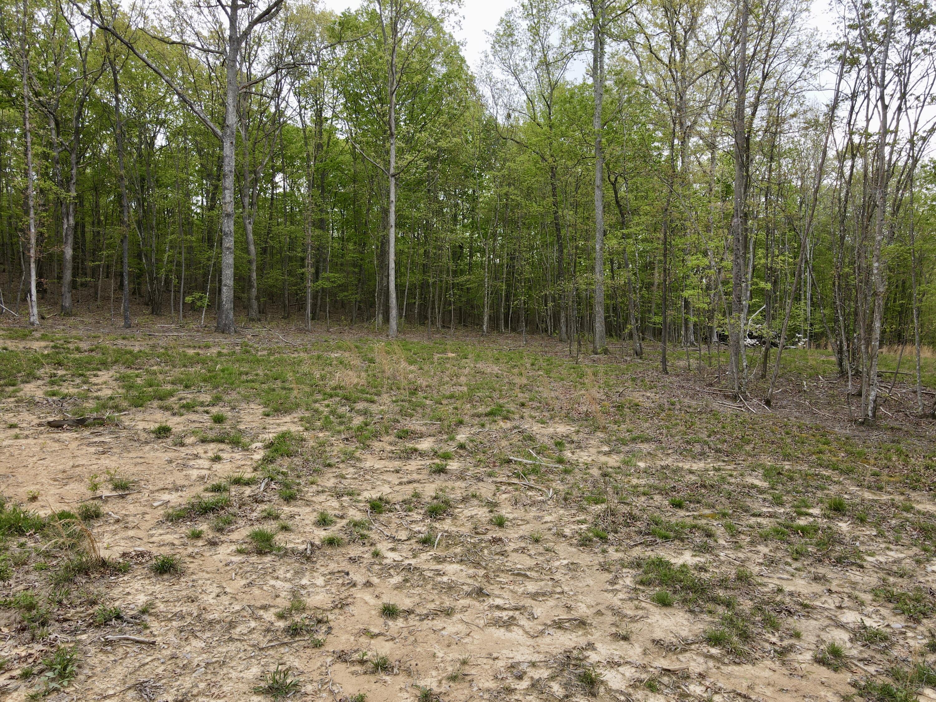 Deer Wood Drive #LOT 14, Sewanee, Tennessee image 24