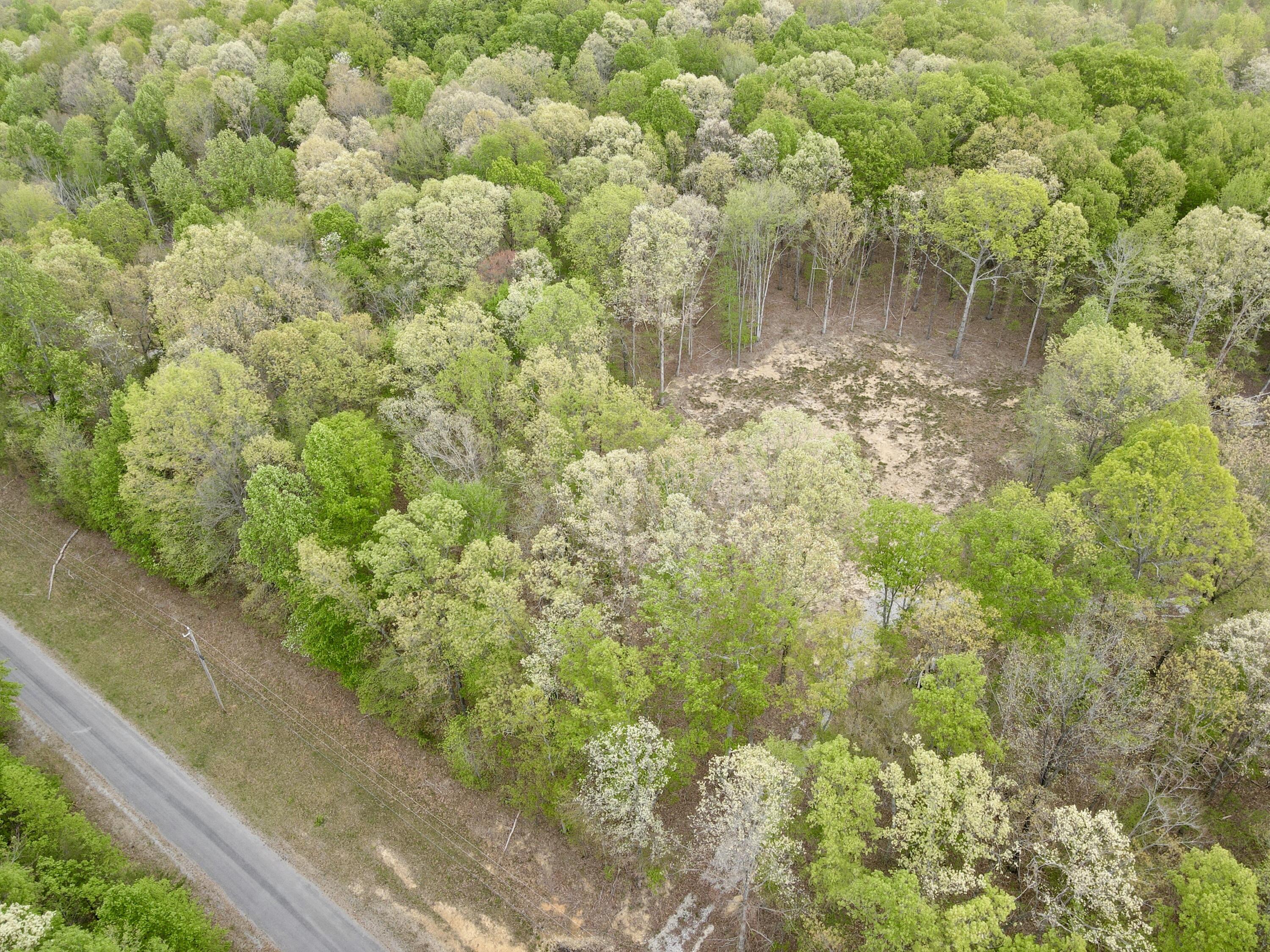 Deer Wood Drive #LOT 14, Sewanee, Tennessee image 40