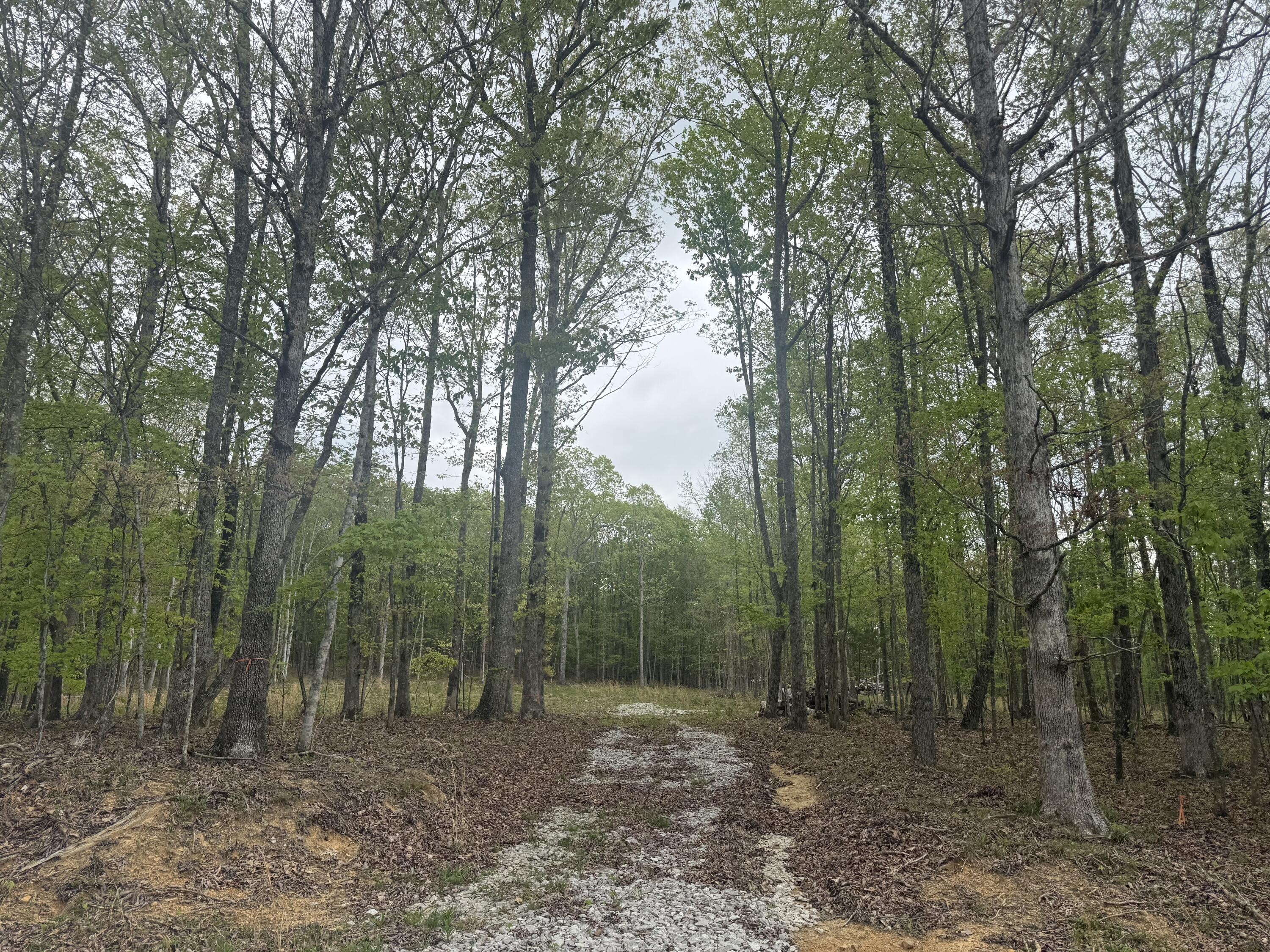 Deer Wood Drive #LOT 14, Sewanee, Tennessee image 2