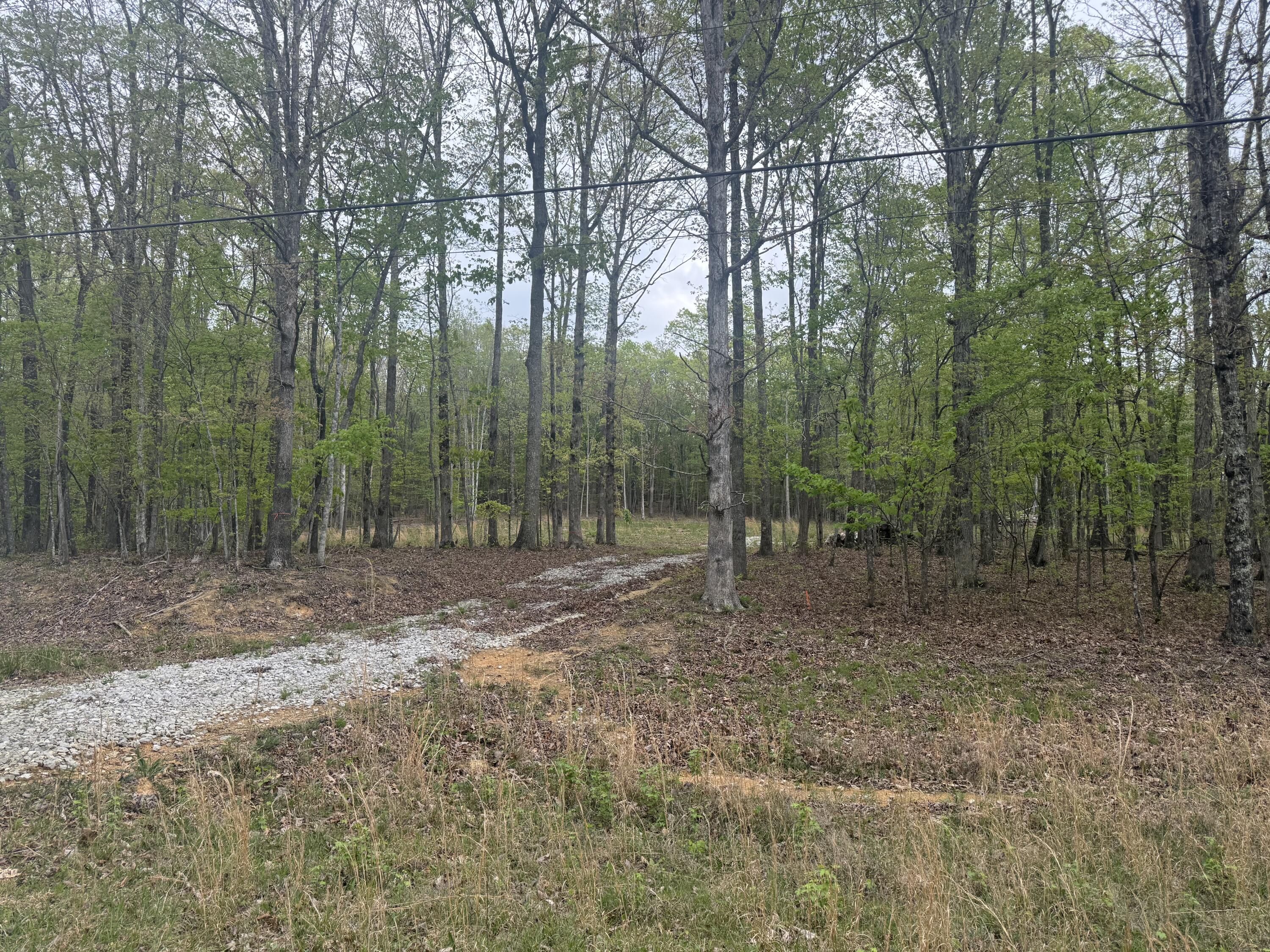 Deer Wood Drive #LOT 14, Sewanee, Tennessee image 8