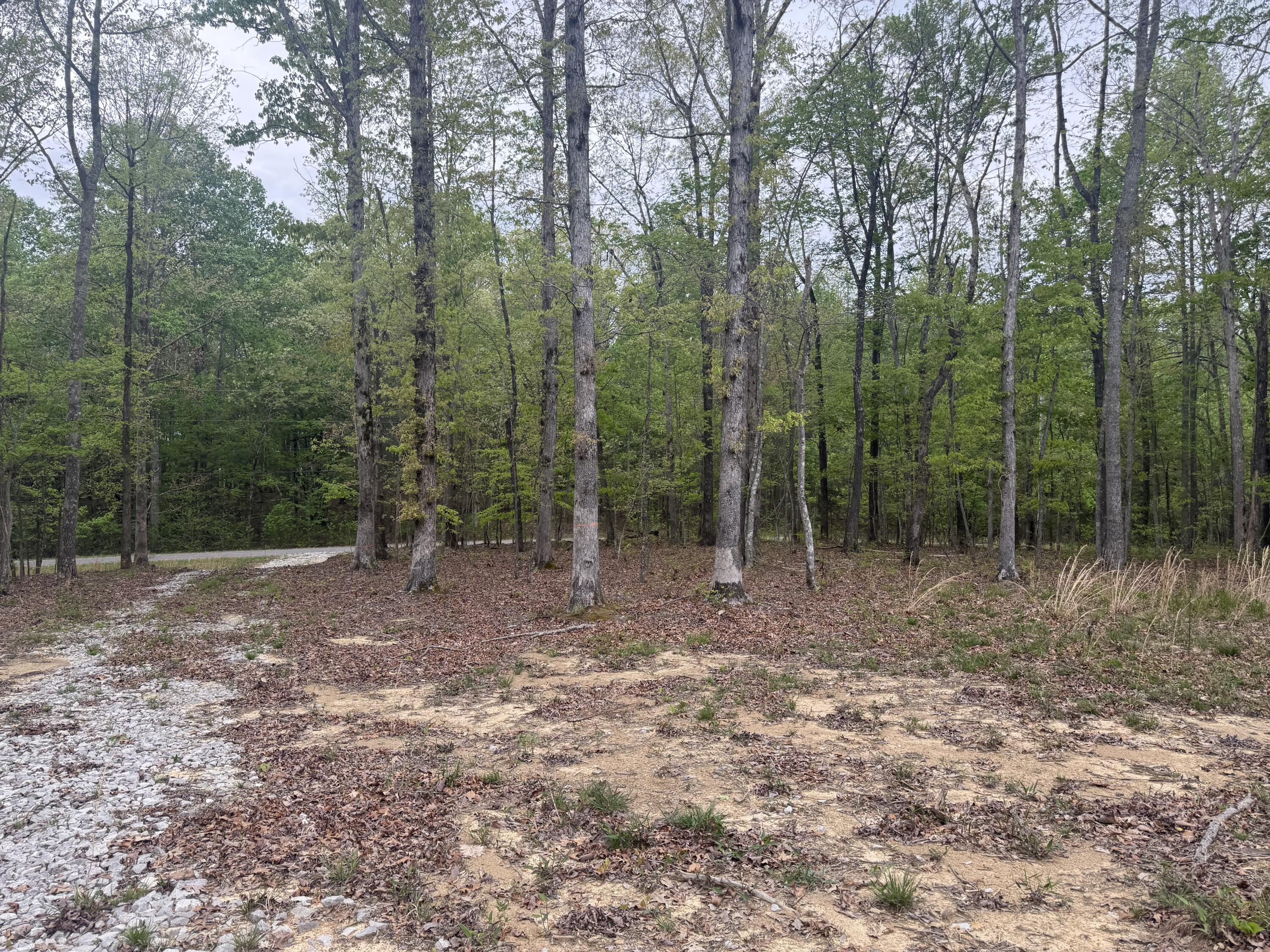 Deer Wood Drive #LOT 14, Sewanee, Tennessee image 6