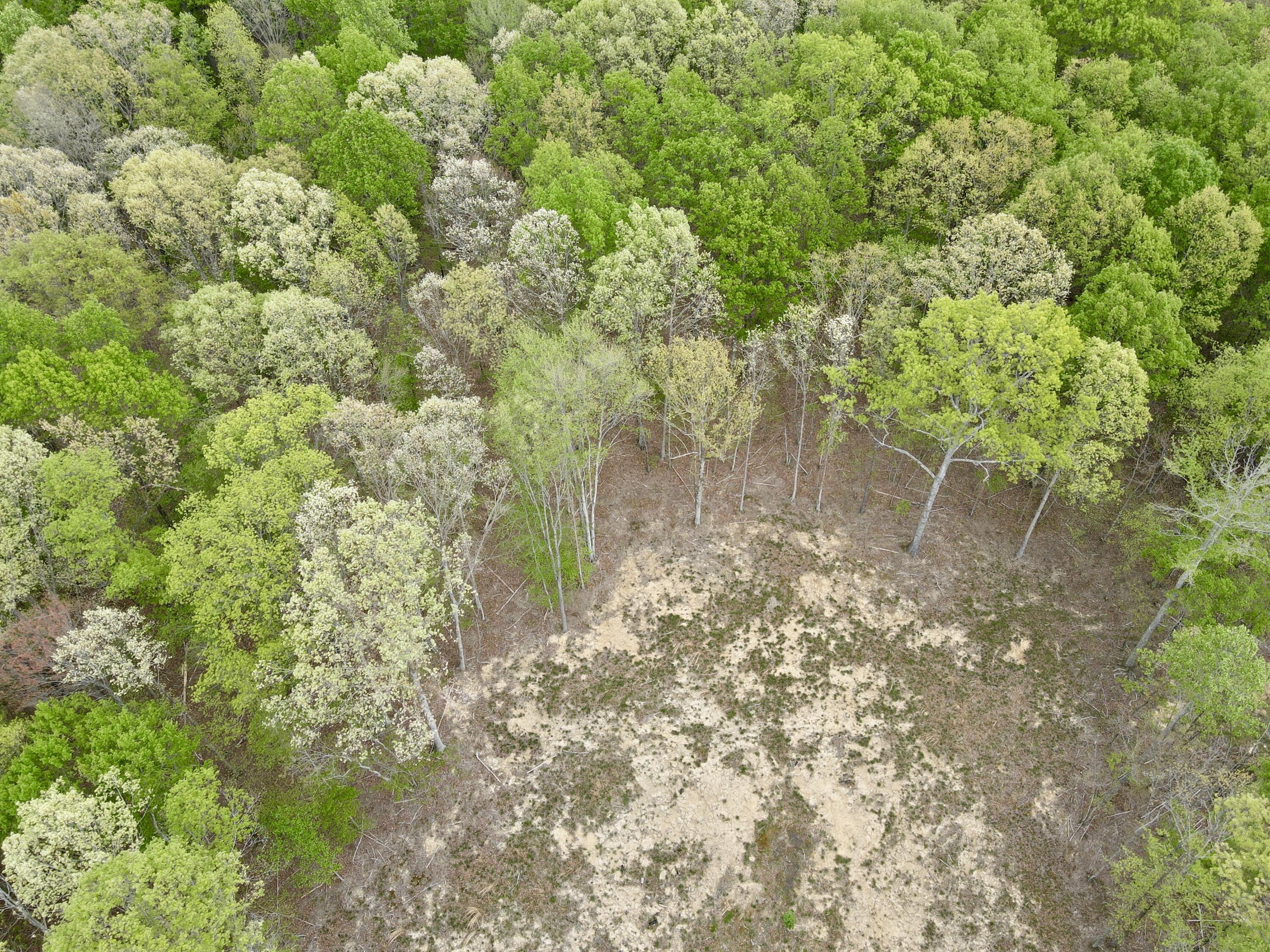 Deer Wood Drive #LOT 14, Sewanee, Tennessee image 44