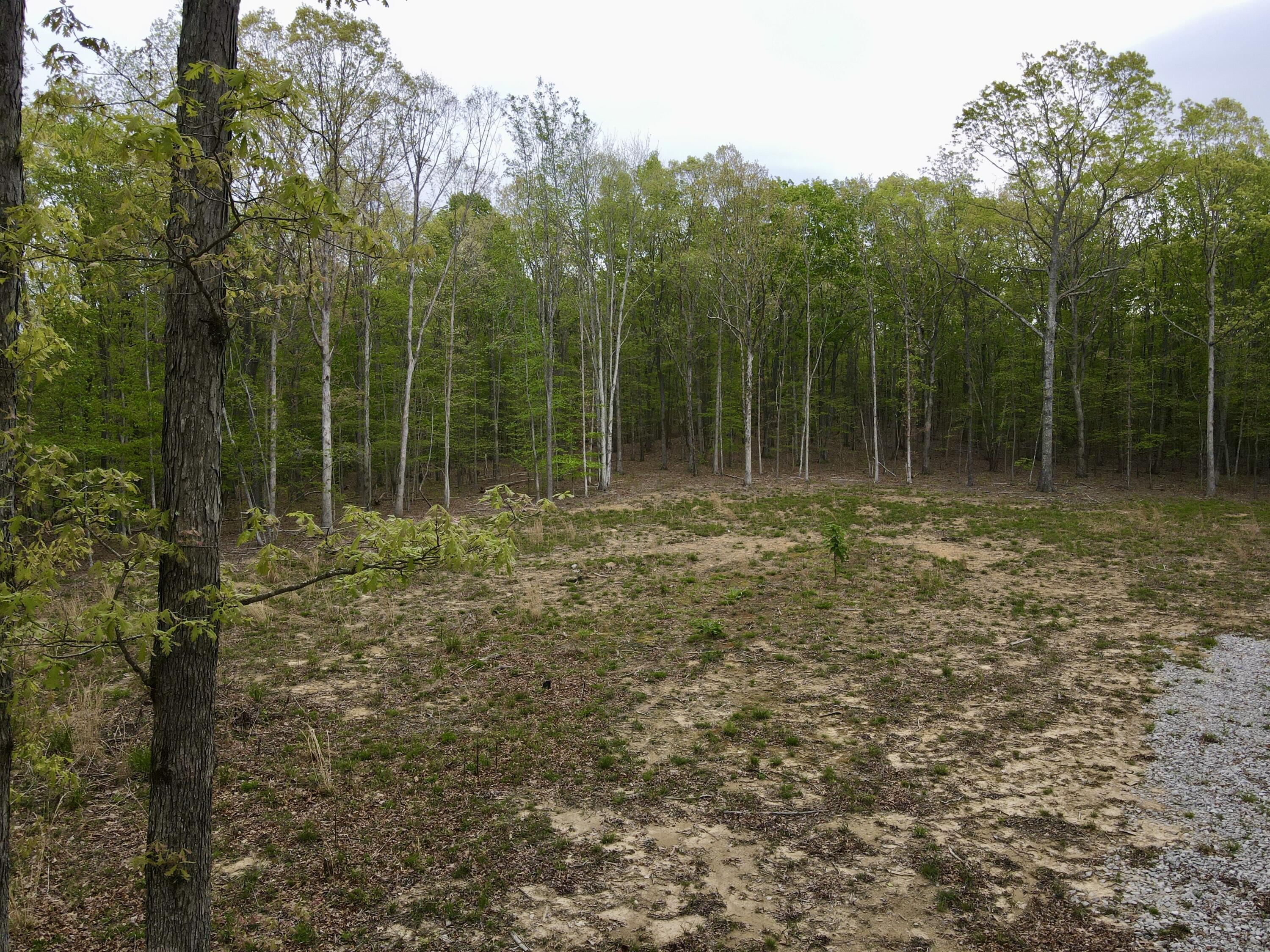 Deer Wood Drive #LOT 14, Sewanee, Tennessee image 16