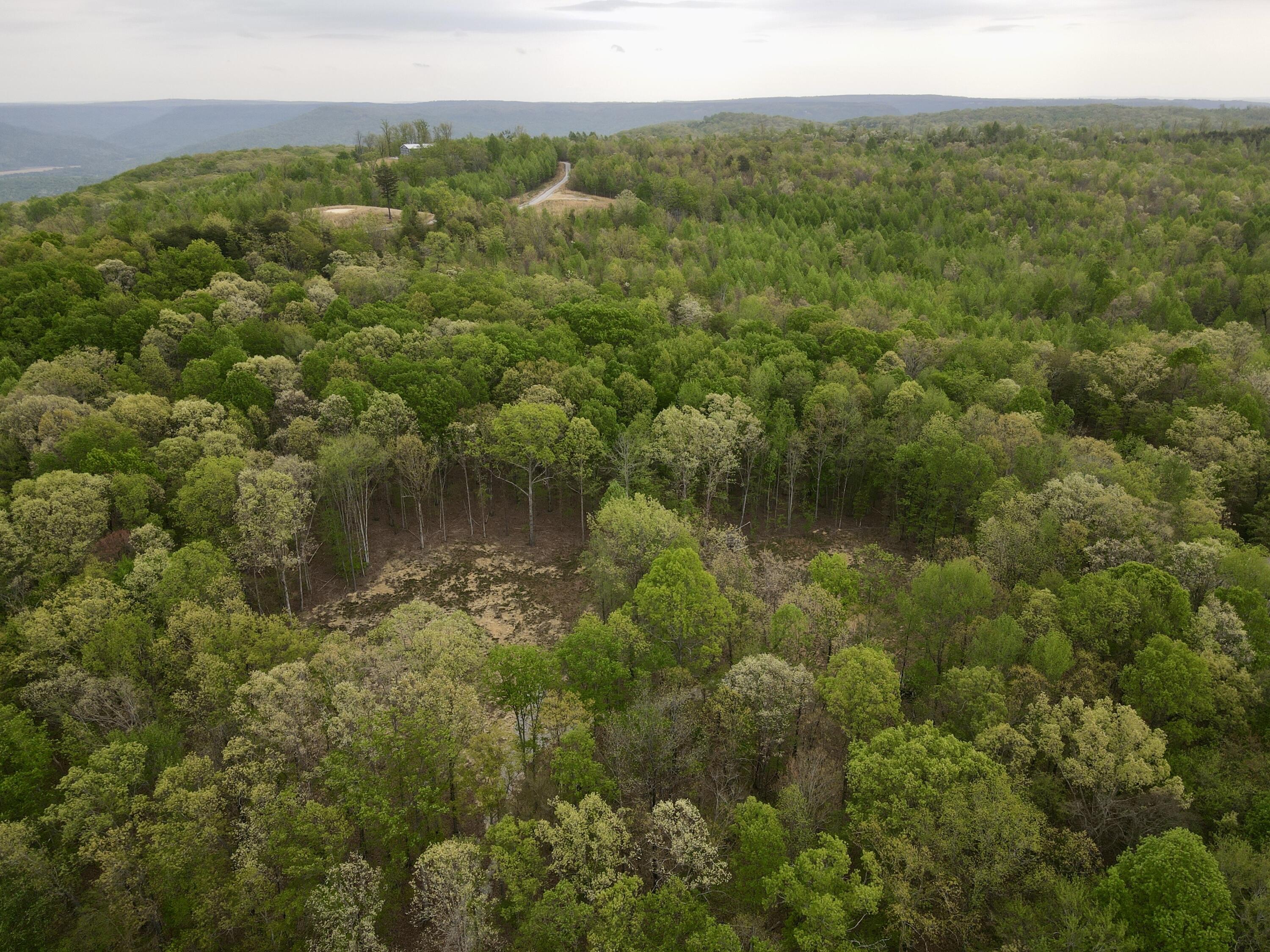 Deer Wood Drive #LOT 14, Sewanee, Tennessee image 39