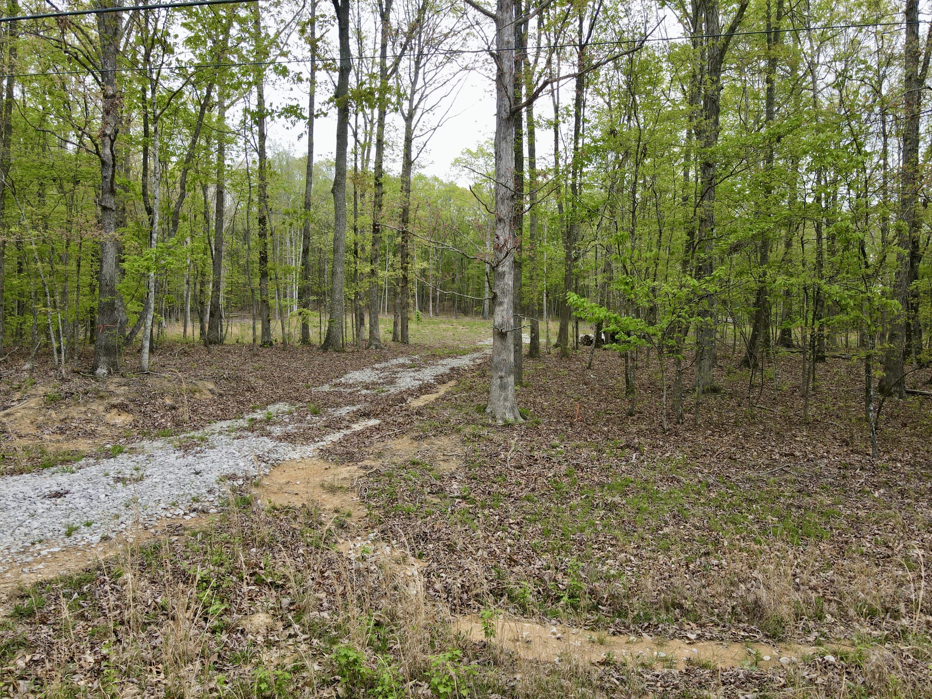 Deer Wood Drive #LOT 14, Sewanee, Tennessee image 11