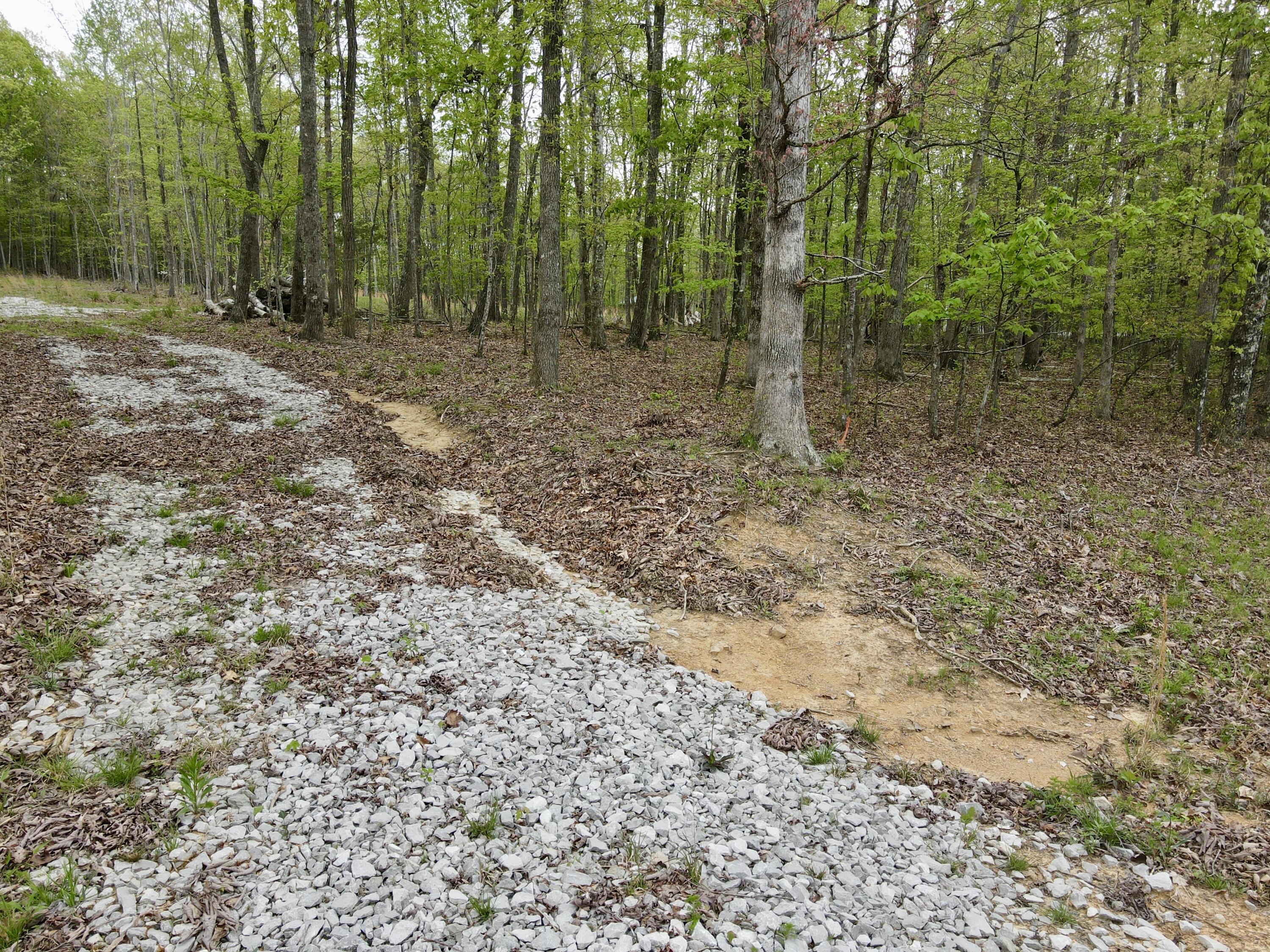 Deer Wood Drive #LOT 14, Sewanee, Tennessee image 30