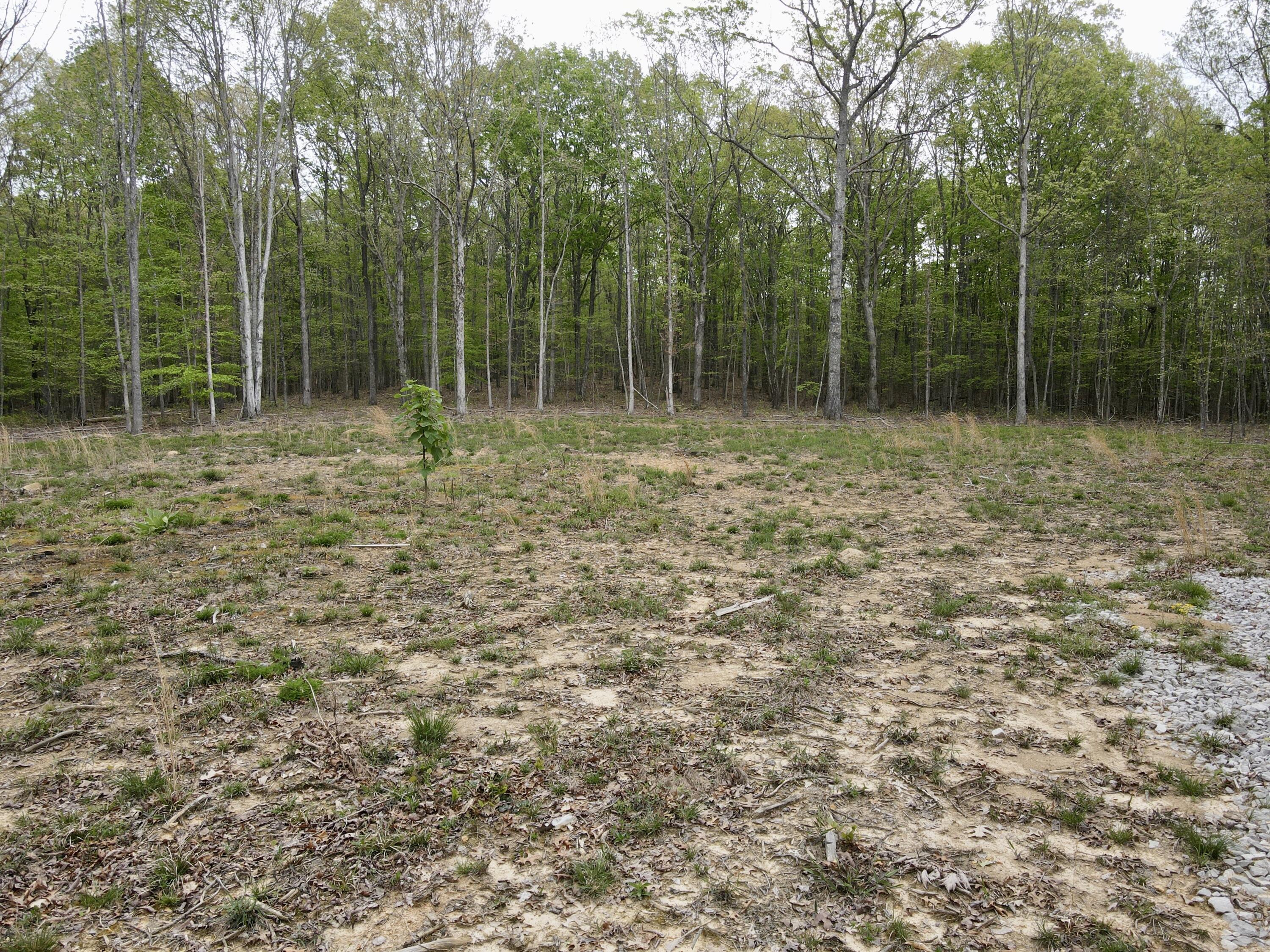 Deer Wood Drive #LOT 14, Sewanee, Tennessee image 26