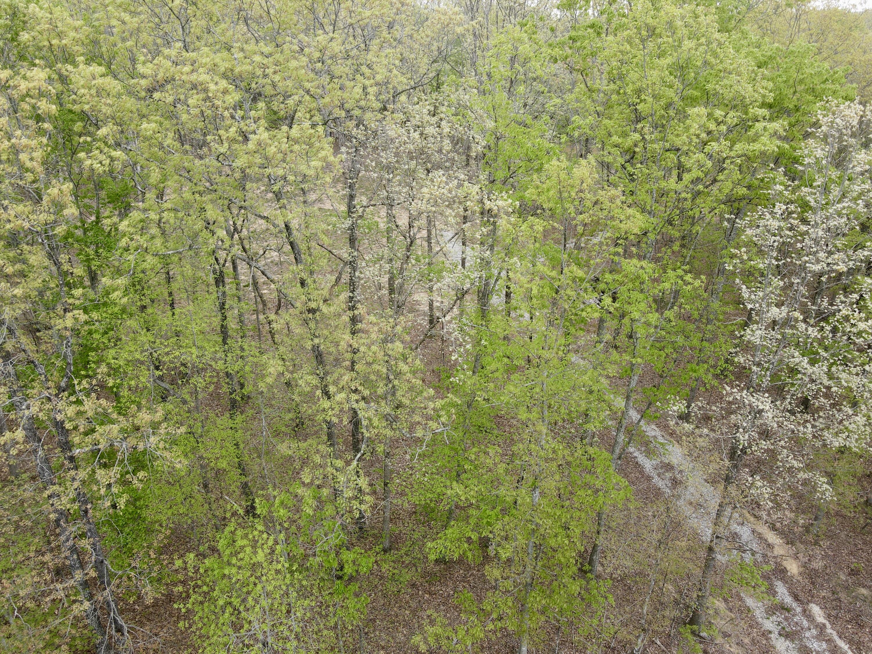 Deer Wood Drive #LOT 14, Sewanee, Tennessee image 32
