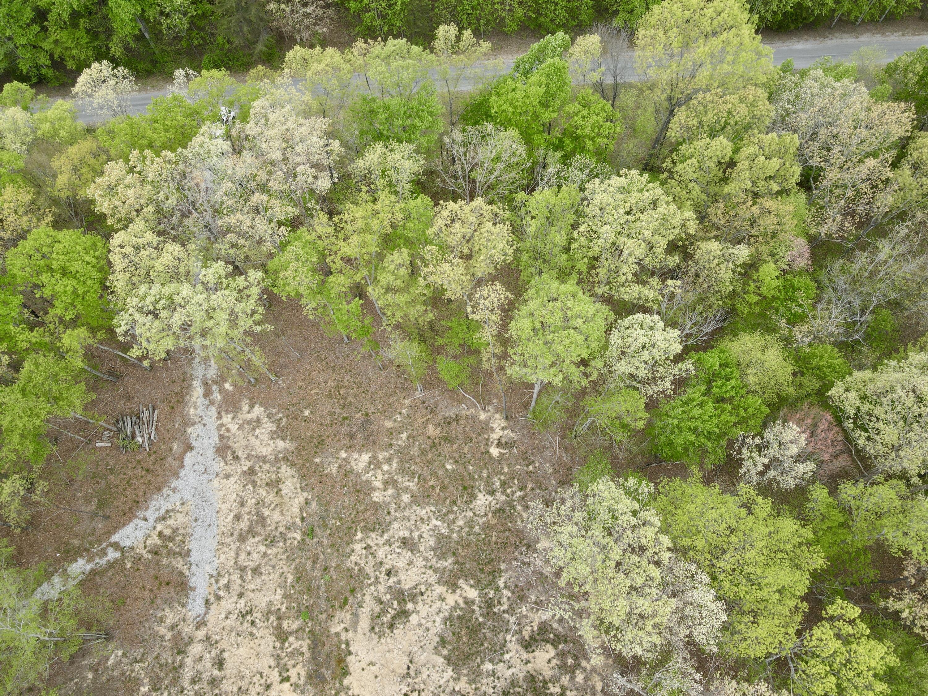 Deer Wood Drive #LOT 14, Sewanee, Tennessee image 33