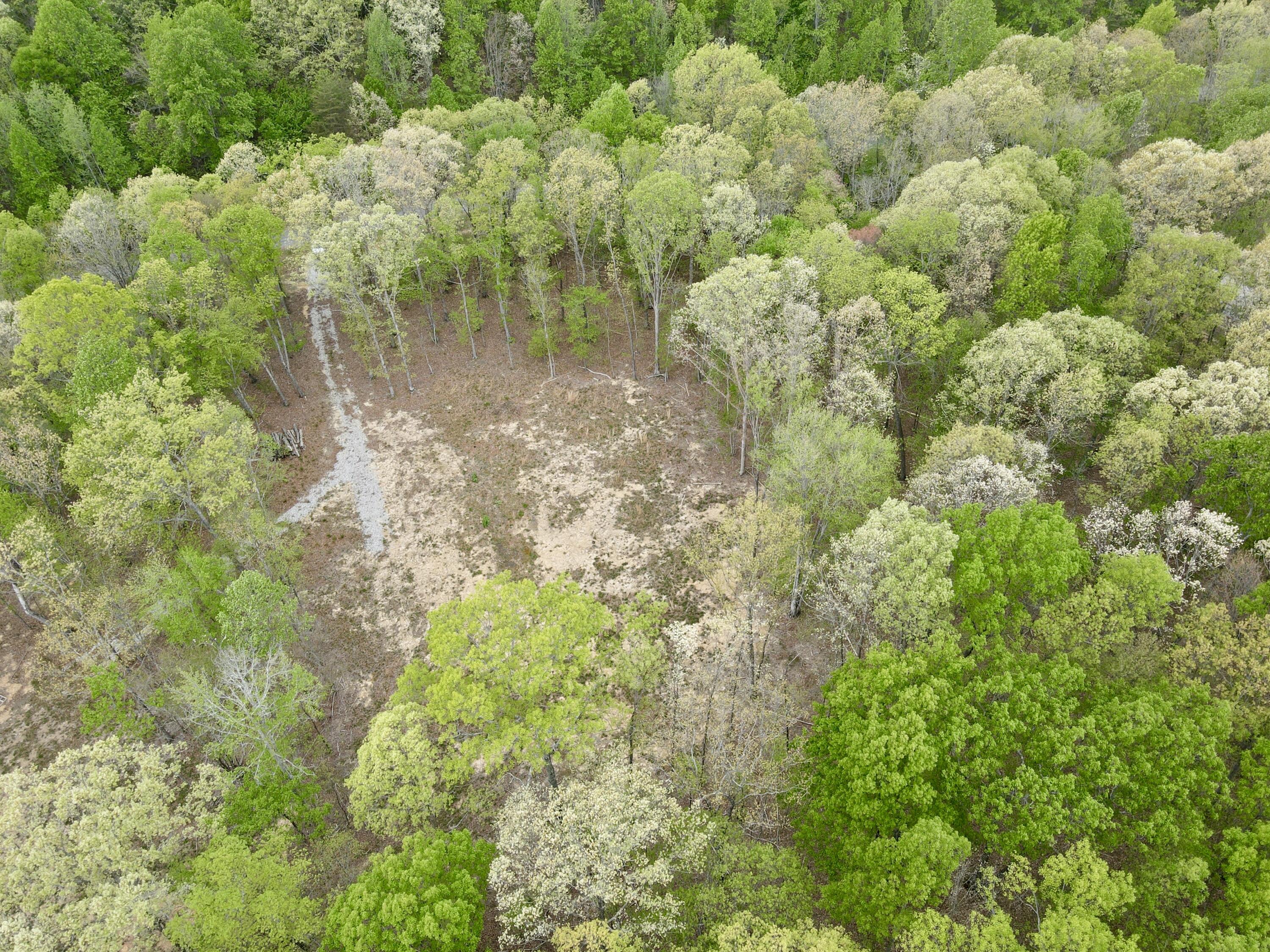 Deer Wood Drive #LOT 14, Sewanee, Tennessee image 34