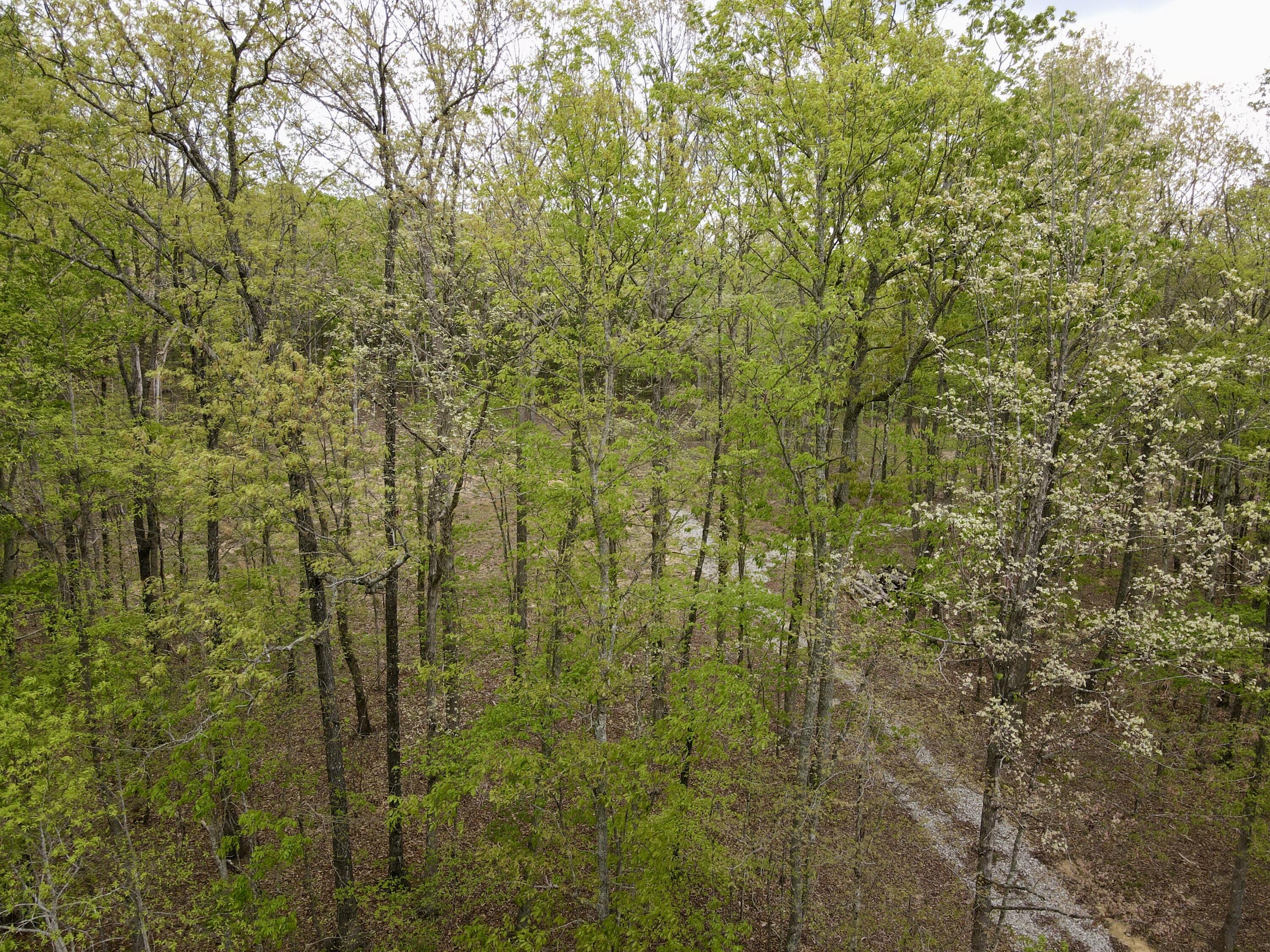 Deer Wood Drive #LOT 14, Sewanee, Tennessee image 49