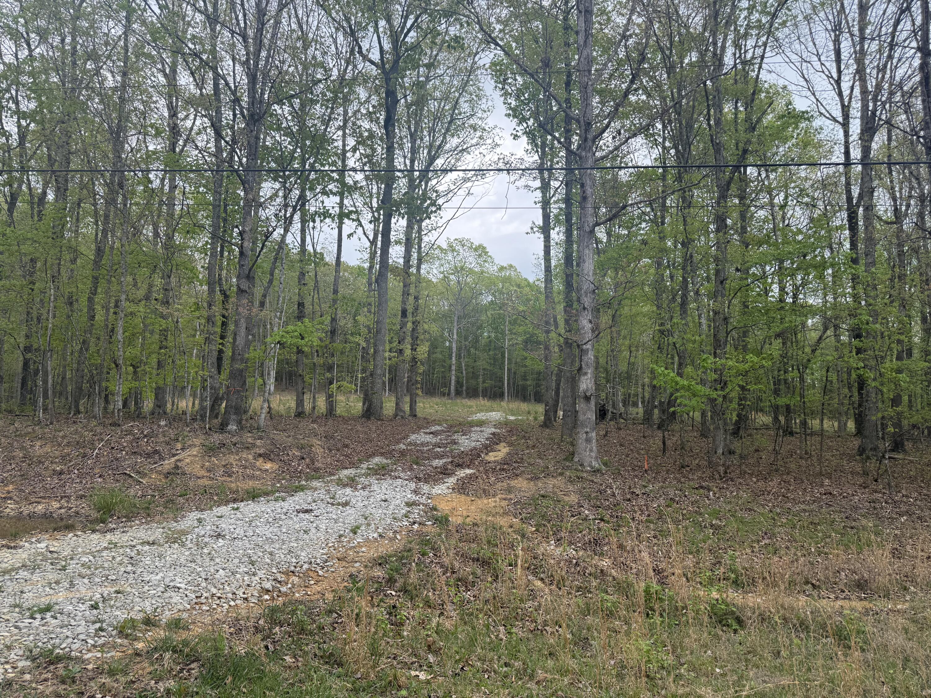 Deer Wood Drive #LOT 14, Sewanee, Tennessee image 4